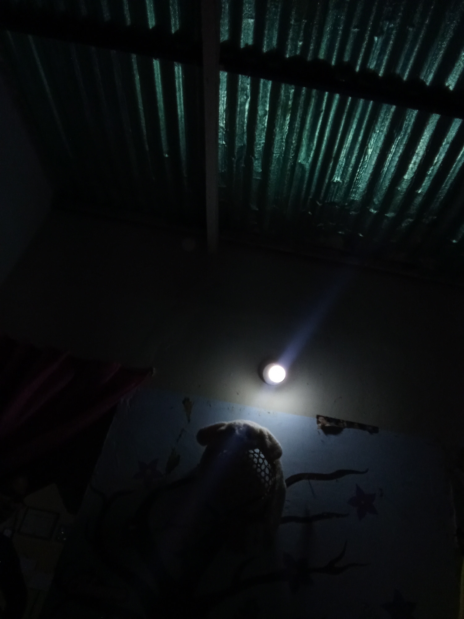The image, likely taken indoors in Juan Griego, Venezuela, shows a room under dim lighting. The ceiling is corrugated metal, a common building material. On a wall, there is a mounted light fixture, emitting a beam downward. The wall appears to have hand-drawn designs, including what appears to be a star and abstract shapes. A plush object is in the foreground, partially obstructing the view of the wall. To the left, a dark, possibly draped fabric is visible. The lighting suggests either nighttime or a room with limited natural light penetration.