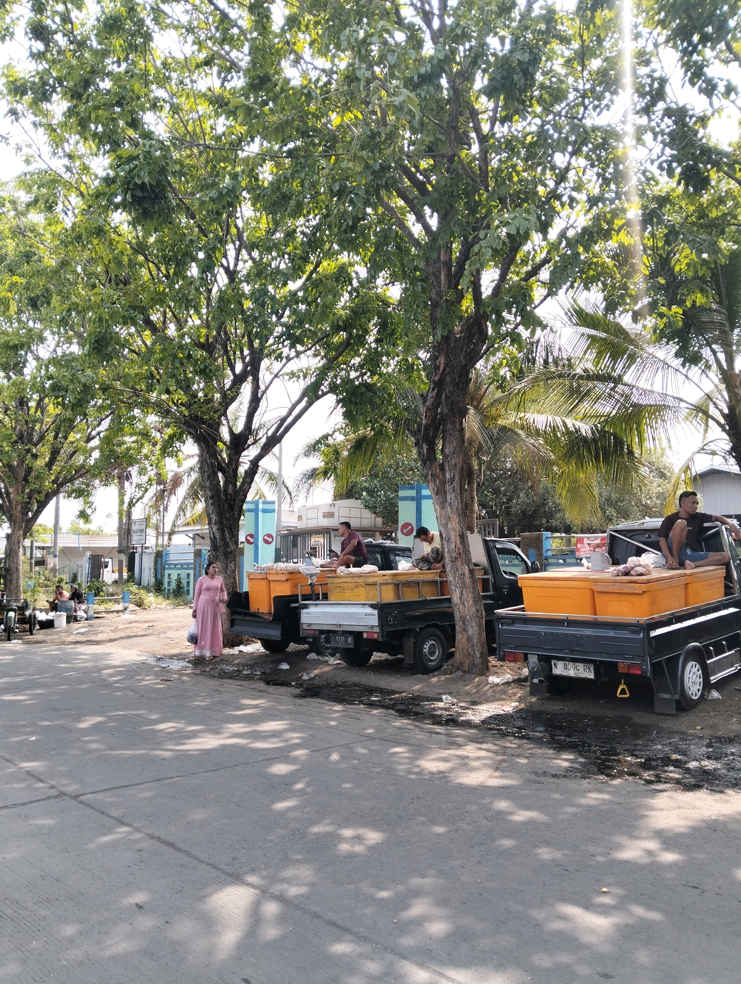 This image depicts a street scene in Probolinggo, Indonesia, likely a market area given the presence of goods and people engaged in commerce. In the foreground, a paved road shows tire marks and debris, with dappled sunlight filtering through overhead trees. Two black pickup trucks are parked alongside the road, their beds filled with large, orange plastic containers, some of which appear to contain produce or other goods.
Several individuals are present. A woman in a pink dress stands near the first truck, holding a plastic bag. Two men are seated on the second truck, one looking to the side. Further down the road, another man is visible near a white plastic container. In the background, a building with a blue and white facade is visible, along with more trees and palm fronds. The overall impression is of a bustling, sun-drenched marketplace.