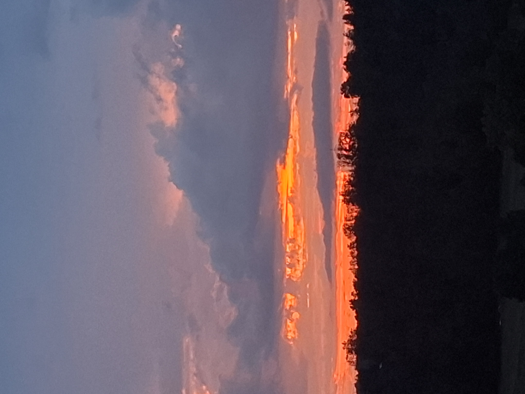 The image captures a sunset over Wangen im Allgäu, Germany. The sky is a dramatic canvas of color, with a gradient from a deep blue at the top to vibrant oranges and pinks near the horizon. Dark, silhouetted trees form a dense line along the bottom of the frame, their jagged tops obscuring the landscape below. A band of bright orange light is visible just above the treeline, suggesting the sun is setting or has recently set. Wispy clouds, illuminated by the setting sun, drift across the sky, some tinged with pink and orange, while others are a deep gray. The overall scene conveys a sense of natural beauty and the approaching end of the day.