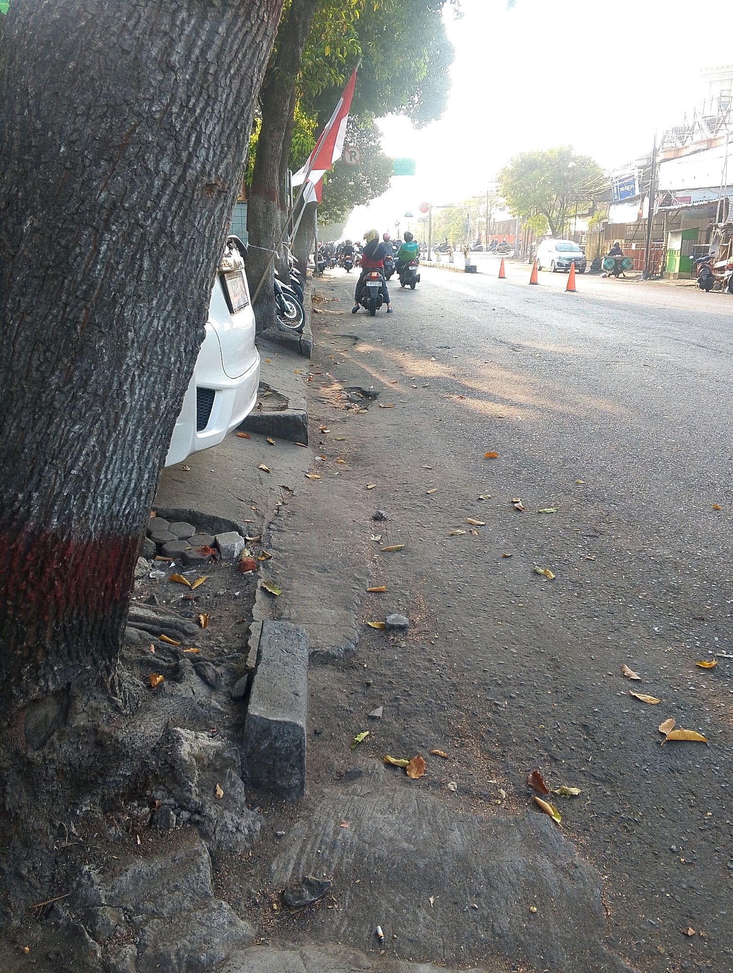 The image shows a street scene with a sidewalk and a road. A large tree with rough bark stands on the left side of the frame, with red paint markings on its base. A white car is parked near the tree, partially obscuring the sidewalk. The sidewalk is cracked and uneven, with debris and fallen leaves scattered on it. Several motorcycles and scooters are visible on the road, some with riders. The road itself is asphalt and appears to be a busy thoroughfare, with traffic cones placed in sections of the road. Buildings and shops line the right side of the street, some with awnings and signage. The sun is shining brightly, casting long shadows across the scene, suggesting it is either early morning or late afternoon. There are also Indonesian flags visible on poles along the sidewalk. The overall impression is a typical urban street environment in Indonesia.