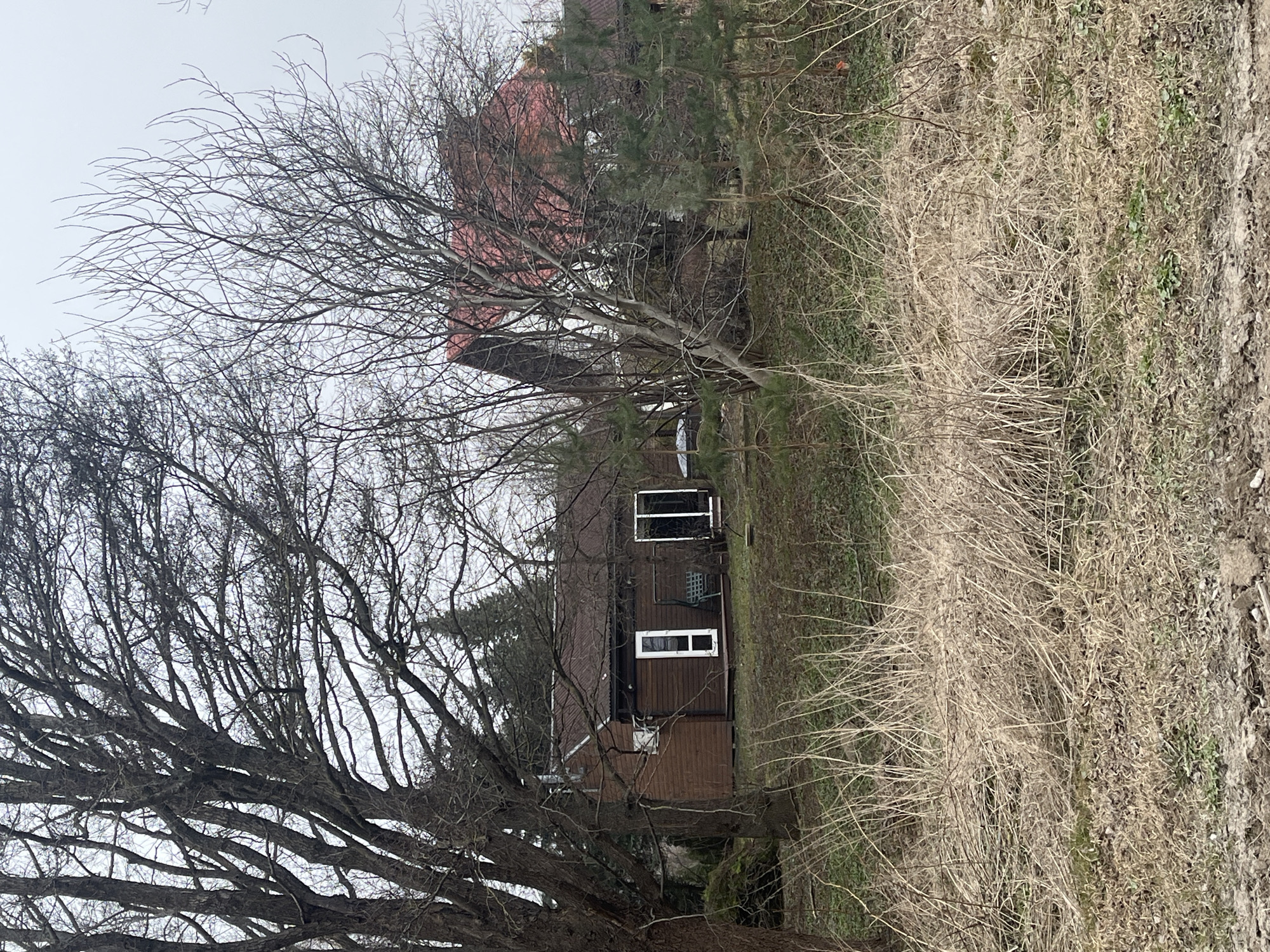 The image shows a rural scene in what appears to be Grīnvalti, Latvia. A brown, two-story house with white-framed windows is visible through bare trees. The roof is red. The foreground is dominated by dry, brown vegetation. The sky is overcast and grey. No people are visible.
