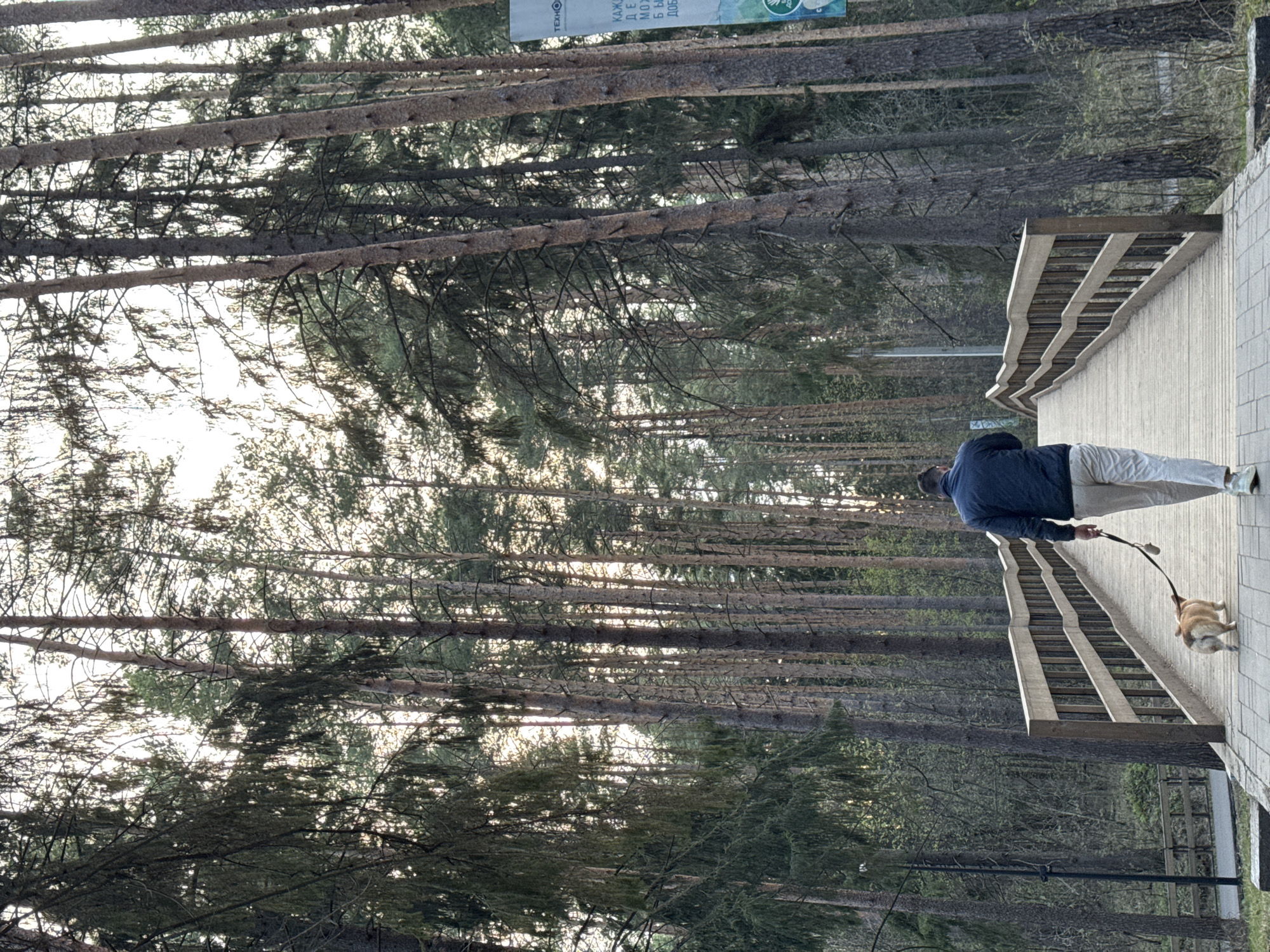 A man walks his dog on a wooden bridge in a park setting. The bridge spans a wooded area with tall, thin trees. The man wears a dark blue jacket and light-colored pants. The dog is small and brown. A street lamp is visible near the edge of the bridge. The scene is located in Votkinsk, Russia, evidenced by a sign in the background containing Cyrillic script.