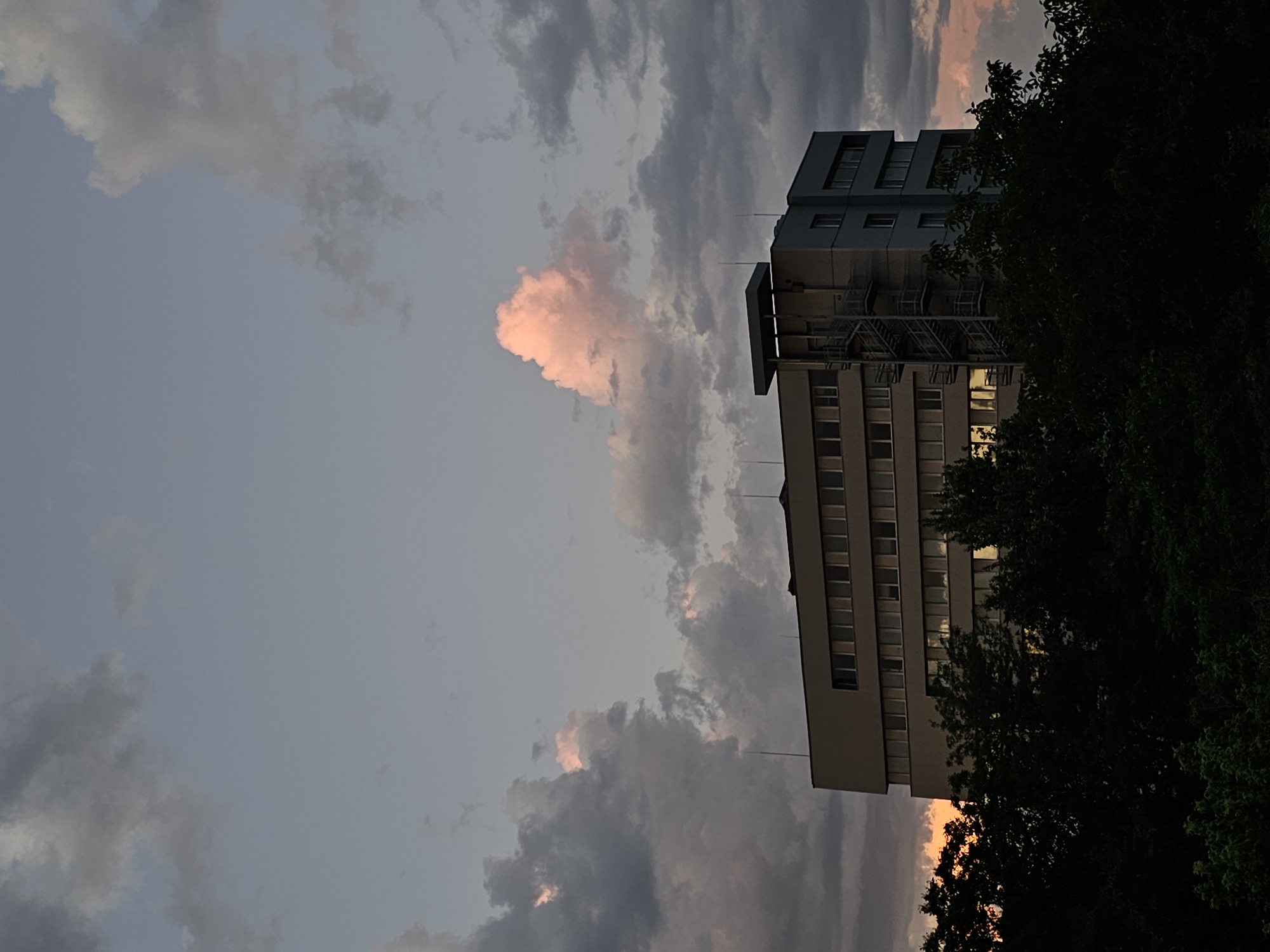 Captured from an upward-tilting perspective, the photograph depicts a multistory building contrasted against a cloudy sky, possibly at dusk. The building, likely an office structure, is modern with a flat roof and vertical lines of windows, and is partially obscured by lush, dark green foliage. The sky dominates the image with a mix of light and dark clouds illuminated with soft pink hues suggesting either sunrise or sunset. The setting is urban, though specific identifiers for the city of Plovdiv, Bulgaria, are not discernible from the provided visual evidence. There are no people visible in the scene, and the focus is on the architectural structure and the atmospheric condition.