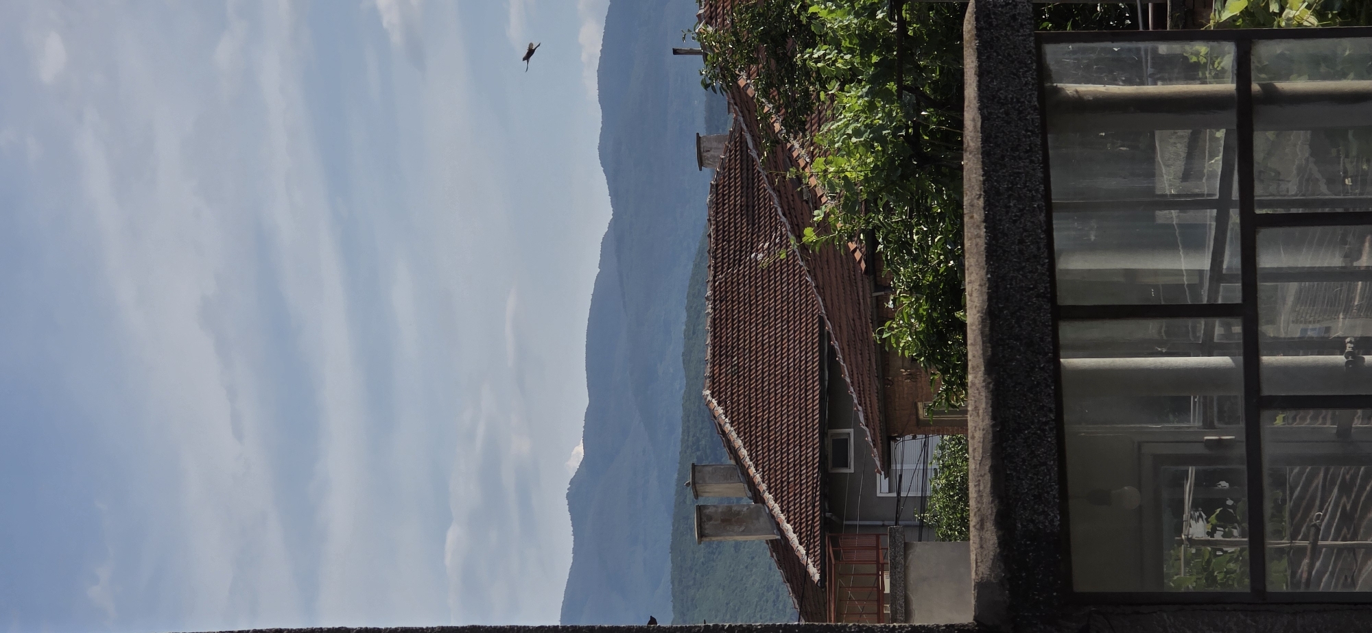 The image presents a panoramic daytime view from an elevated perspective, possibly a balcony or window, overlooking a townscape towards distant mountains under a bright sky. In the immediate foreground, a textured, dark gray wall or railing borders the right side of the frame, partially obscuring a multi-paned window that reflects parts of the surrounding environment.
The mid-ground is dominated by the reddish-brown tiled roofs of several buildings, characteristic of traditional European architecture. Green trees and dense foliage are visible around and between these structures, adding natural vibrancy. Two prominent chimneys rise from one of the tiled roofs, and a section of a red metal railing can be seen between buildings.
In the background, a series of hazy blue mountains stretches across the horizon, appearing layered and receding into the distance. Above the mountains, the sky is a clear, light blue with scattered, elongated white clouds. A bird is captured in flight against this sky, soaring above the distant mountain peaks. Closer to the foreground, near the bottom left, small dark shapes that appear to be pigeons are perched on a wall or roofline.
The scene conveys a sense of tranquility and a scenic overlook. The clear sky and distinct features suggest good weather, likely late morning or early afternoon. No people are visible, and there is no discernible text in the image. The architectural style and mountainous backdrop are consistent with the provided location context of Plovdiv, Bulgaria.