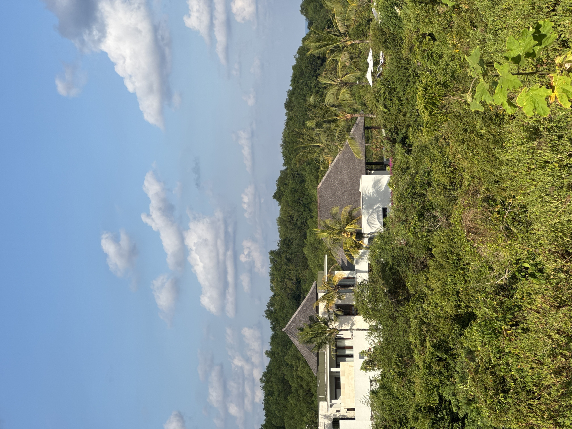 The image presents a vibrant, sunlit tropical landscape, likely depicting a resort or private villas nestled within lush greenery in Kuta Selatan, Indonesia. The upper portion of the scene is dominated by a clear blue sky, adorned with scattered white and light gray clouds.
Below the expansive sky, a dense canopy of tropical trees and foliage creates a verdant backdrop, stretching across the middle and foreground. Prominently featured within this greenery are several modern buildings, characterized by their clean white walls and dark, possibly shingled or thatched, roofs. These structures appear to be well-integrated into the natural environment, surrounded by a variety of plants, including tall palm trees.
In the upper right section of the frame, amidst a clearing in the foliage, two white sun loungers are visible, hinting at an outdoor recreation or relaxation area such as a pool deck or a private garden. A large-leafed plant occupies the extreme right foreground, adding to the dense vegetation. The bright, natural lighting indicates it is daytime, casting soft shadows and highlighting the rich textures and colors of the tropical setting. The overall atmosphere is one of serenity and natural beauty, characteristic of a luxurious tropical escape. No discernible text is visible in the image.