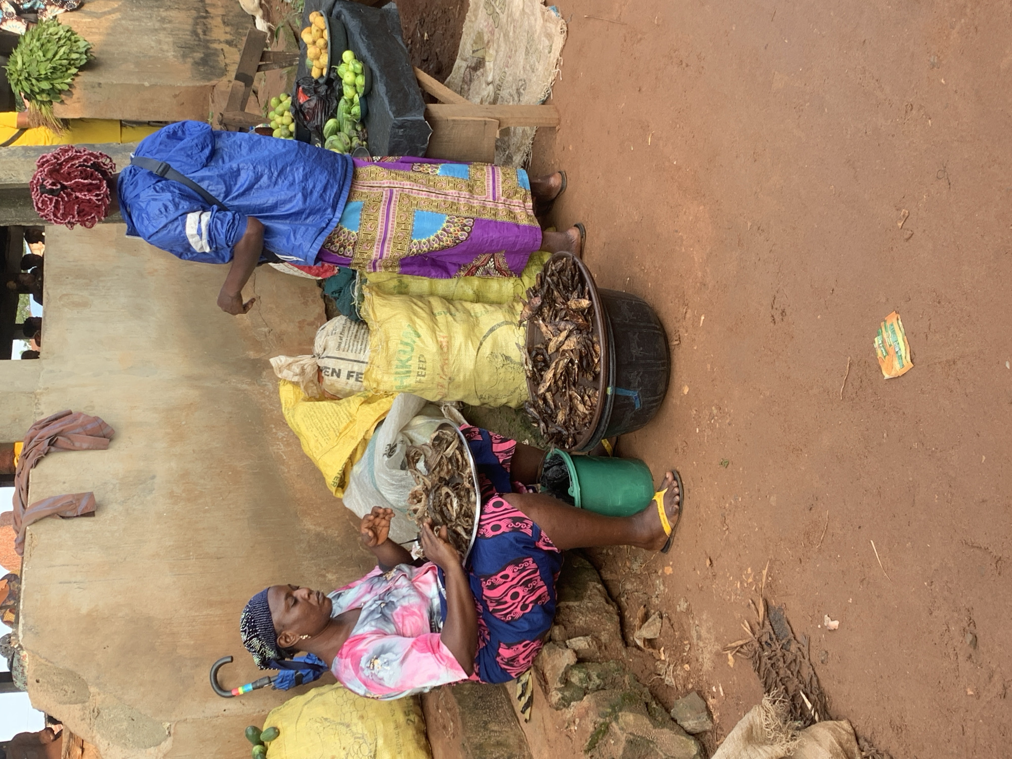 Two women are engaged in commerce at an outdoor market in Shagamu, Nigeria. The woman in the foreground, seated on a stone, wears a pink and blue tie-dye shirt and a patterned blue and pink skirt, with yellow flip-flops. She is holding a metal platter filled with dried fish. Beside her is a green bucket and a large black basin also containing dried fish. Behind her, a yellow sack with "HI-KUV FEED" printed on it and a blue umbrella with a colorful handle are visible.
The second woman, standing, wears a blue jacket and a vibrant purple, blue, and gold patterned skirt. Her hair is styled in red braids. She appears to be interacting with or attending to items on a black table in front of her. On the table, there are bowls of green produce, possibly cucumbers or limes, and yellow fruits, likely lemons or small oranges. A large bunch of leafy green vegetables hangs in the background. The ground is reddish-brown dirt, typical of the region, with scattered debris. The background shows a textured, light-colored wall and a wooden structure. The lighting suggests it is daytime, possibly late afternoon, casting shadows.
