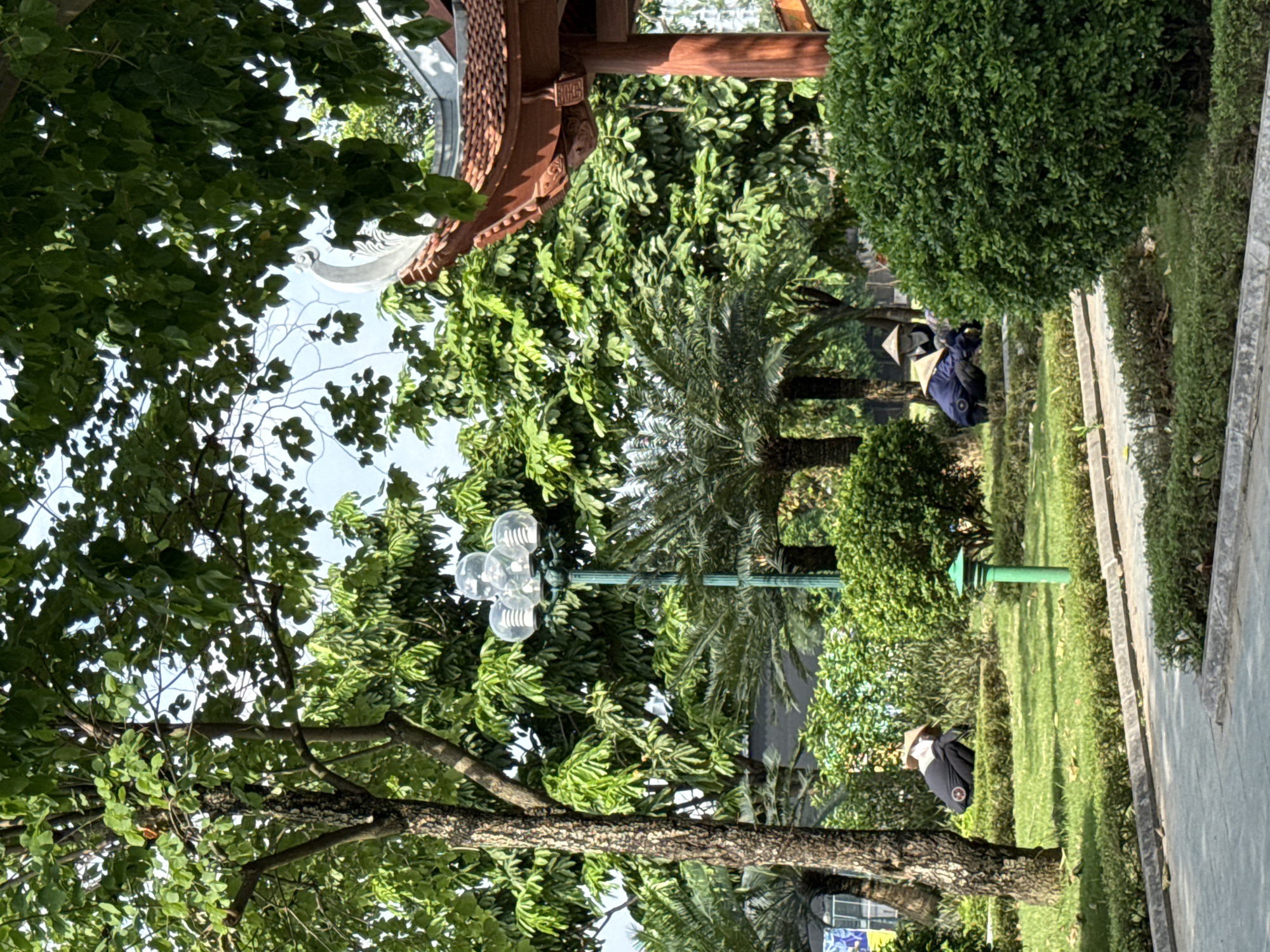 The image depicts a park in Hà Nội, Vietnam. The scene includes trees, a lamppost, a glimpse of a traditional roof structure, a manicured lawn, and what appears to be a walkway bordering the lawn. Two individuals wearing traditional conical hats are visible amidst the greenery, suggesting they are engaged in some activity within the park, possibly maintenance or gardening.