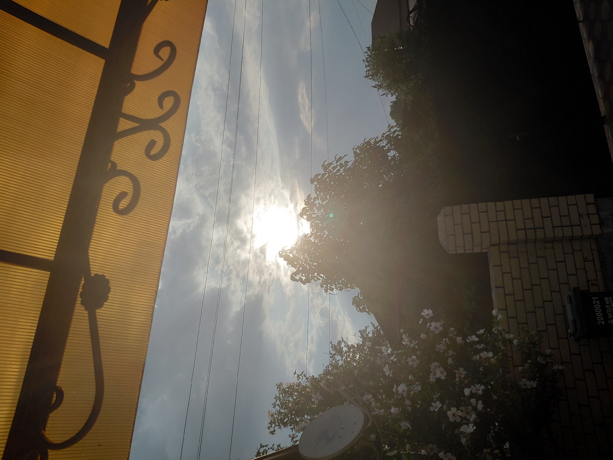 This image depicts an outdoor scene with a focus on the sky and the foreground elements. The sky is partially obscured by clouds, with the sun shining through, creating a bright, hazy effect. Several power lines are visible stretching horizontally across the sky. In the foreground, a yellow translucent awning with decorative metalwork casts a shadow on its underside. Below the awning, trees with white flowers and green foliage are visible. A satellite dish is mounted on a pole to the left. A brick wall and a dark fence form the lower part of the scene, with a black trash bin in the lower left corner. The image appears to be taken in Malgobek, Russia, likely from a backyard or residential area.