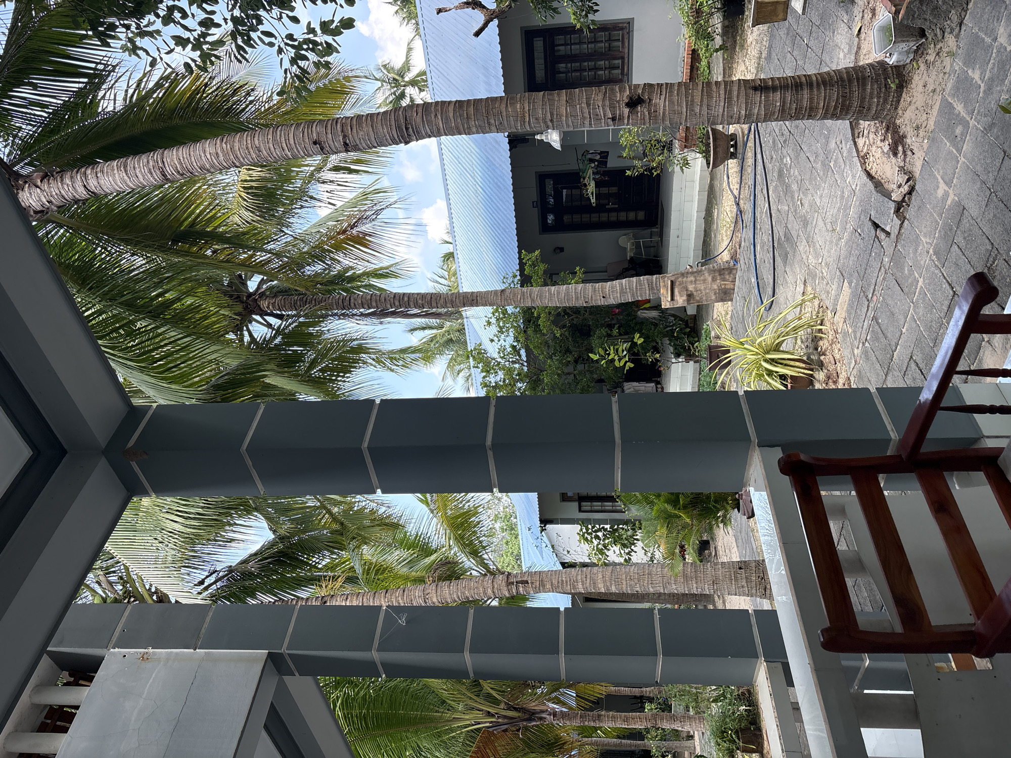 The image depicts a courtyard scene in Mũi Né, Vietnam, likely at a resort or guesthouse, under a clear, partly cloudy sky. In the foreground, a wooden chair is partially visible, suggesting an outdoor seating area. The courtyard is paved with stone tiles, some of which appear cracked or uneven, with sand visible between them. Several large palm trees with textured trunks dominate the scene, their fronds casting shadows.
In the background, a single-story building with a light blue metal roof is visible. The building has white walls and dark-framed windows and doors. One doorway appears to be open, and clothing is hanging on a line outside. To the left of this building, another similar structure is partially obscured by palm trees and a dark gray pillar in the foreground, which is part of a covered walkway or porch. Green foliage, including bushes and potted plants, is scattered throughout the courtyard. A blue hose lies on the ground, suggesting recent watering. No people are clearly visible in the scene, though a distant figure might be present on the right side of the image. The overall impression is a tropical, relaxed outdoor environment.