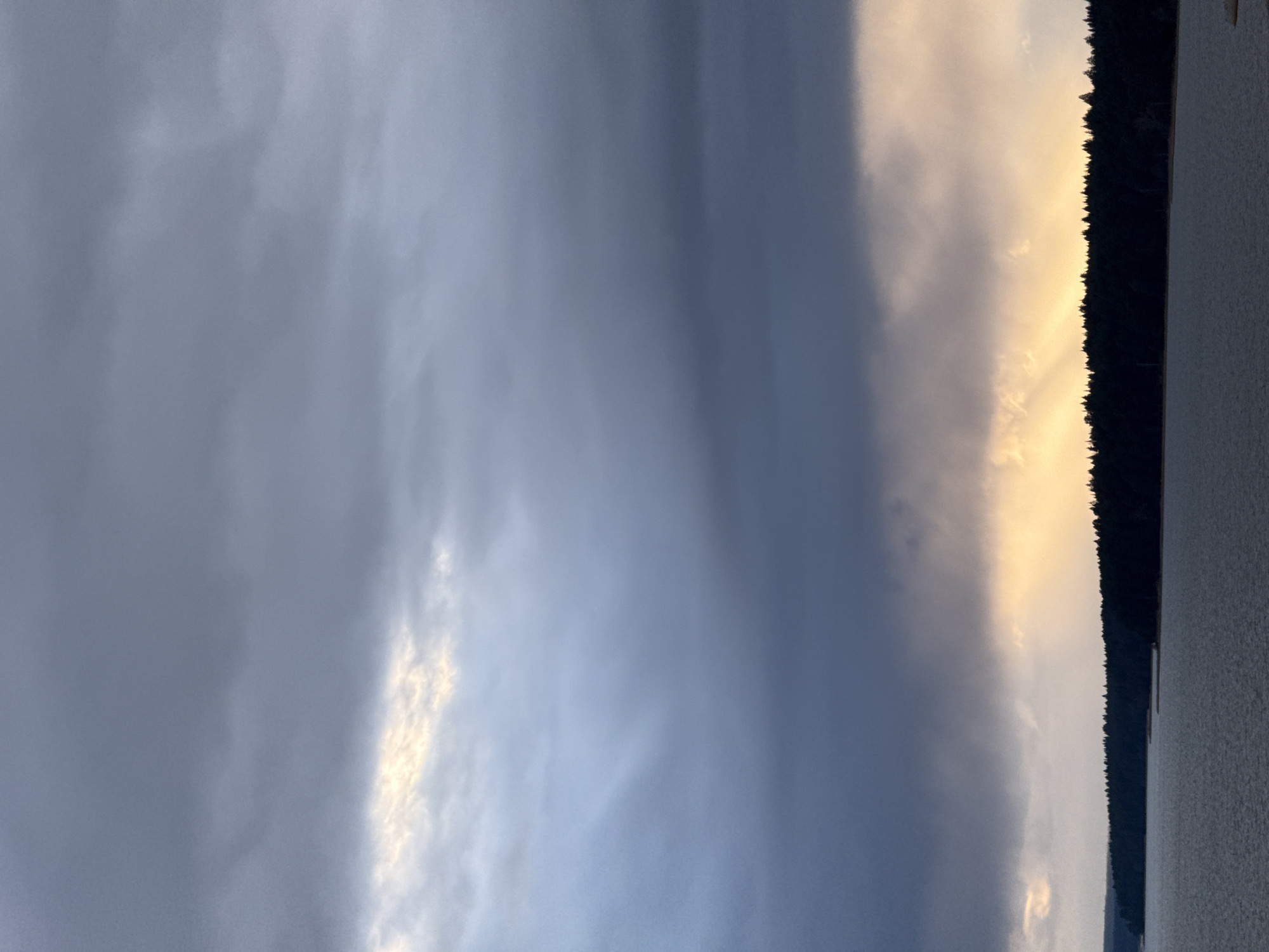 The image shows a body of water with a line of trees along its edge. To the left of the trees, there's a cloudy sky with varying light conditions, including dark storm clouds and patches of brighter, yellowish light filtering through. The image is rotated 90 degrees counter-clockwise. There are no people visible in the image. The location is not discernible from the image.