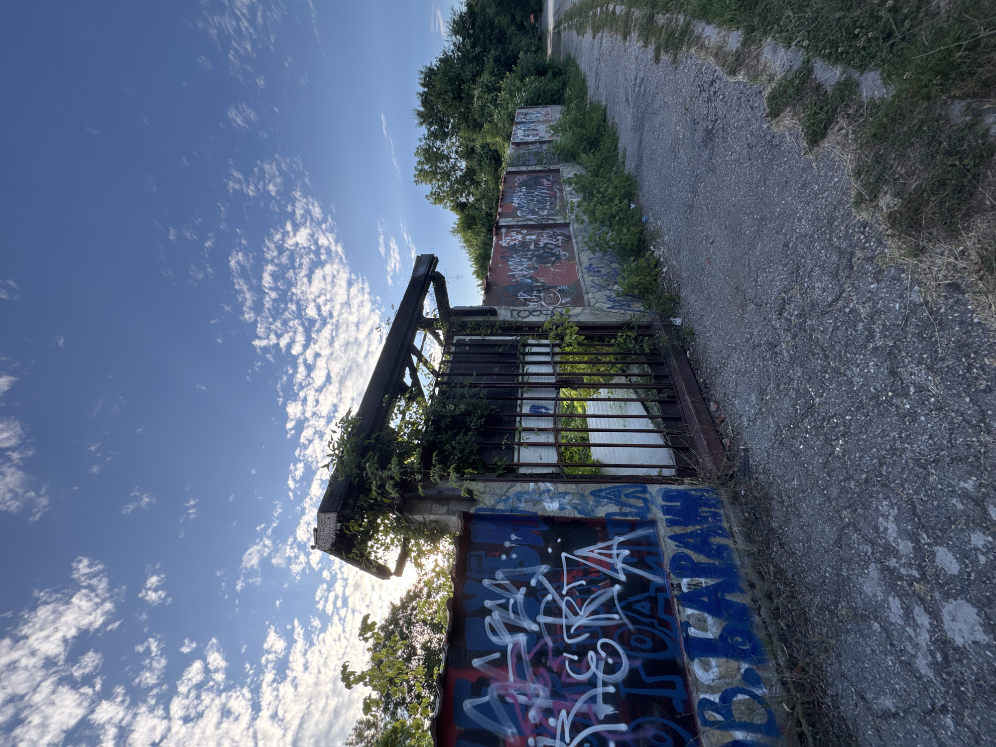 The image captures a view of a graffiti-covered wall and a gate, likely part of an abandoned or disused property, set against a bright blue sky with scattered white clouds. The wall, made of concrete blocks and panels, is heavily adorned with various graffiti tags in multiple colors, predominantly white, red, and blue. A rusty metal gate with vertical bars is visible in the center, partially overgrown with vines and greenery. Above the gate, a wooden structure, possibly a roof or canopy, is also covered in vines. To the right of the gate, the wall continues, also bearing graffiti, and extends into the distance, flanked by trees and bushes. A rough, gravel path runs alongside the wall, curving away towards the right. The presence of overgrowth and the weathered appearance of the gate and wall suggest a neglected or forgotten place. The sun is visible behind the wooden structure, casting a slight glare and highlighting the sky. The scene appears to be located in an outdoor, possibly semi-rural or industrial area within the city of Pernik, Bulgaria, given the context provided. There are no people or animals visible in the image.