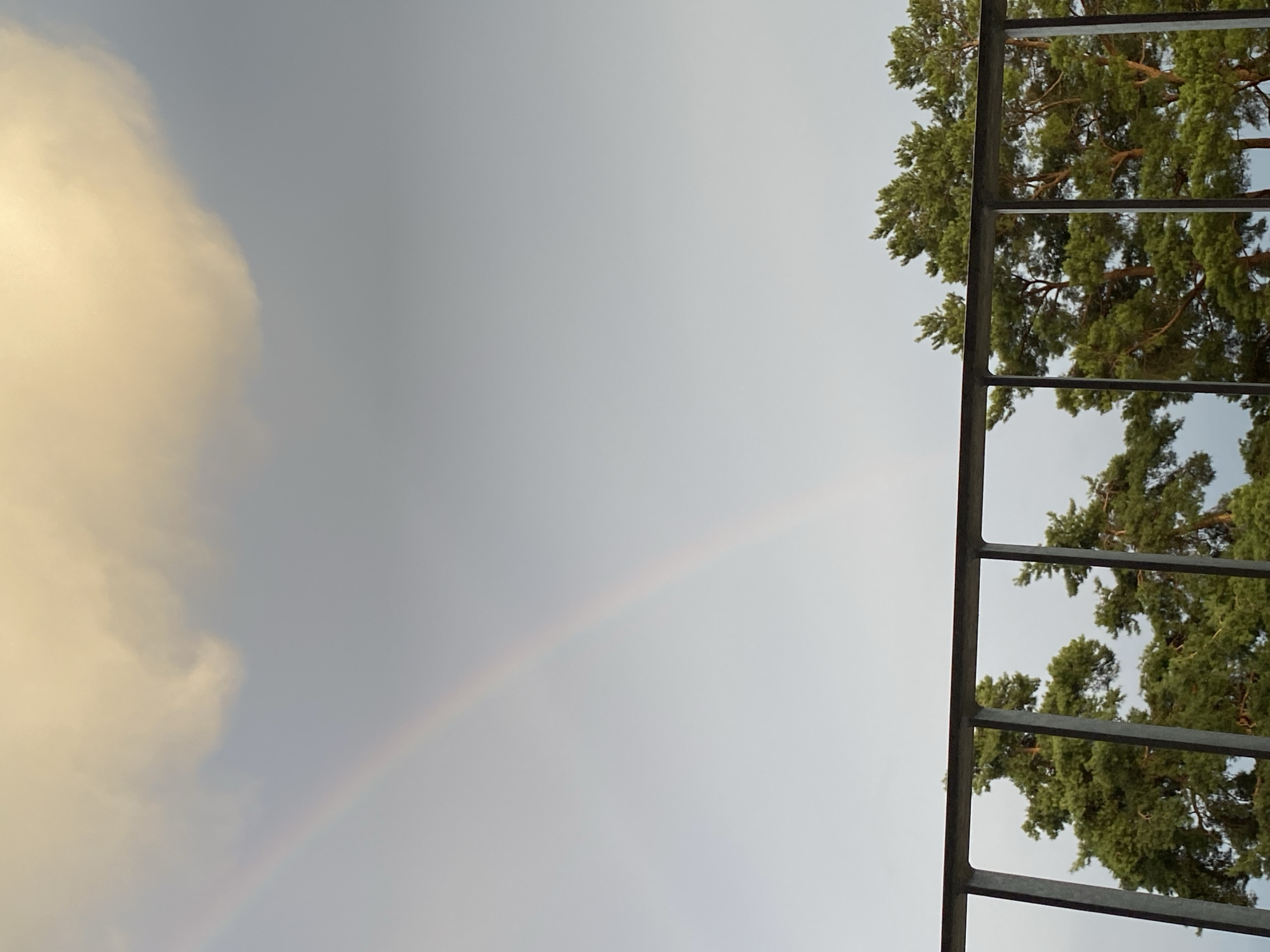 The image shows a cloudy sky with a faint rainbow arching across it. In the foreground, a dark metal railing runs horizontally across the lower portion of the frame. Behind the railing, the tops of several tall evergreen trees are visible. The scene appears to be outdoors, possibly from a balcony or elevated viewpoint, overlooking a natural landscape. There are no people or animals visible in the image. The overall atmosphere is subdued due to the overcast sky, with the exception of a bright, warm-toned cloud in the upper right corner. No specific landmarks of Milvignes, Switzerland, are identifiable.
