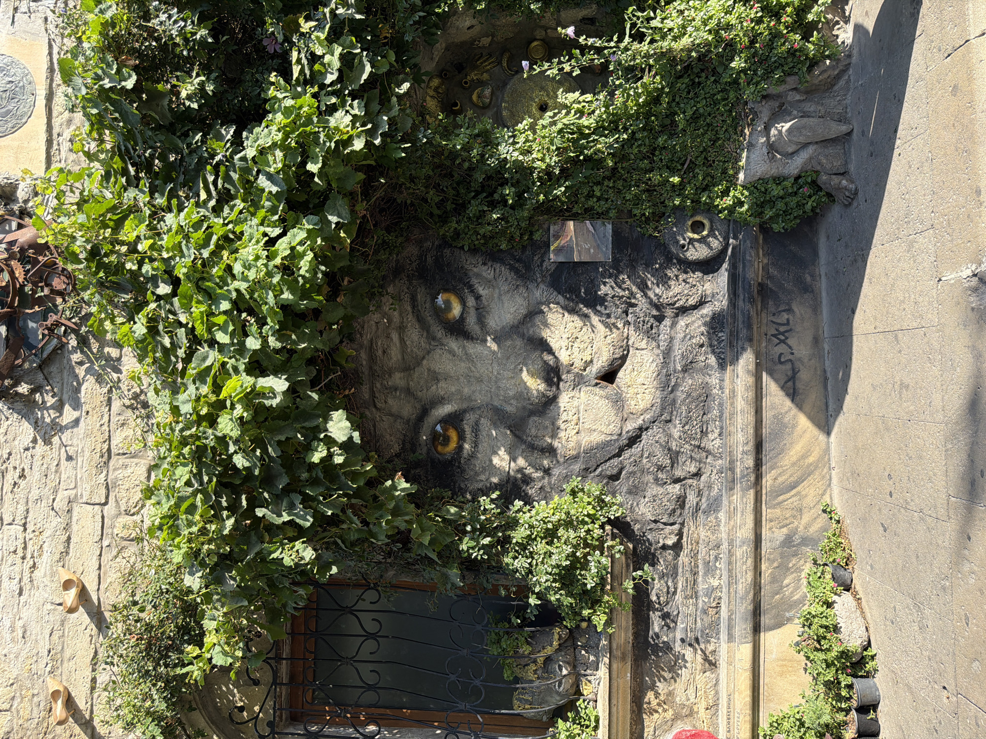 In the Sabail Raion district of Azerbaijan, an outdoor scene features a stone wall adorned with a sculpted lion's face and overgrown with vibrant green ivy. The lion's face, with its piercing yellow eyes, is intricately carved into the rough stone texture. The foliage cascades down, partially obscuring the artwork and creating a natural frame. To the left, a barred window is visible, hinting at an interior behind the wall. The base of the wall is lined with potted plants, adding to the lush, natural aesthetic. The ground in front is paved with stone, showing distinct shadows cast by the sunlight, suggesting it is daytime. The overall impression is one of a weathered facade transformed into a captivating artistic display, blending man-made sculpture with abundant natural growth.