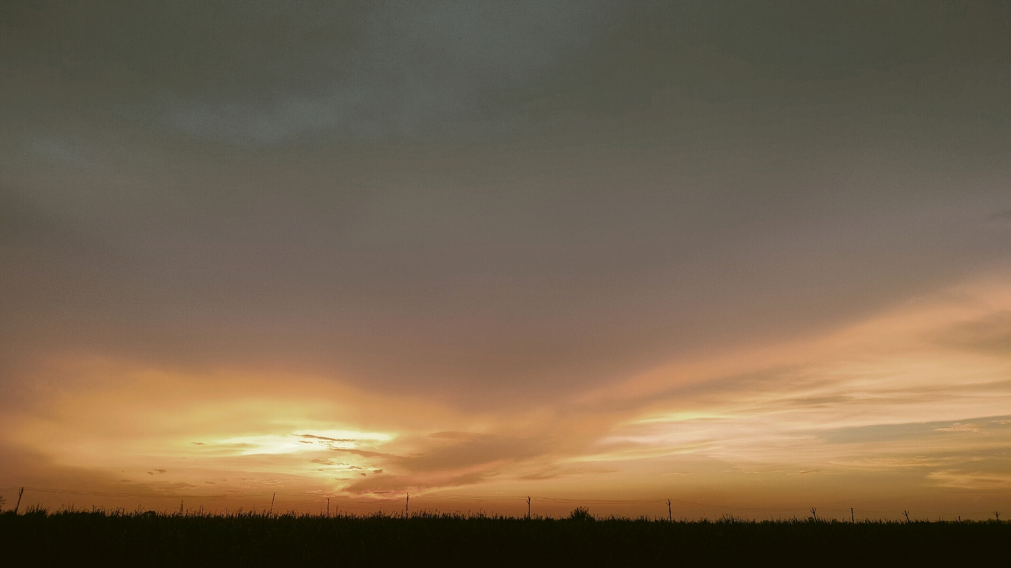 A wide shot captures a dusky sky over Miranpur, India, with a silhouette of farmland and utility poles at the bottom. The sky is a gradient of muted colors, transitioning from a deep gray at the top to soft oranges and pinks near the horizon, suggesting sunset or twilight. Wispy clouds are illuminated by the setting sun, creating streaks of light across the sky. The foreground is a dark, indistinct band of vegetation, likely crops or tall grass, with several thin, dark vertical lines representing utility poles scattered across the horizon. The overall impression is one of quiet, rural ambiance.