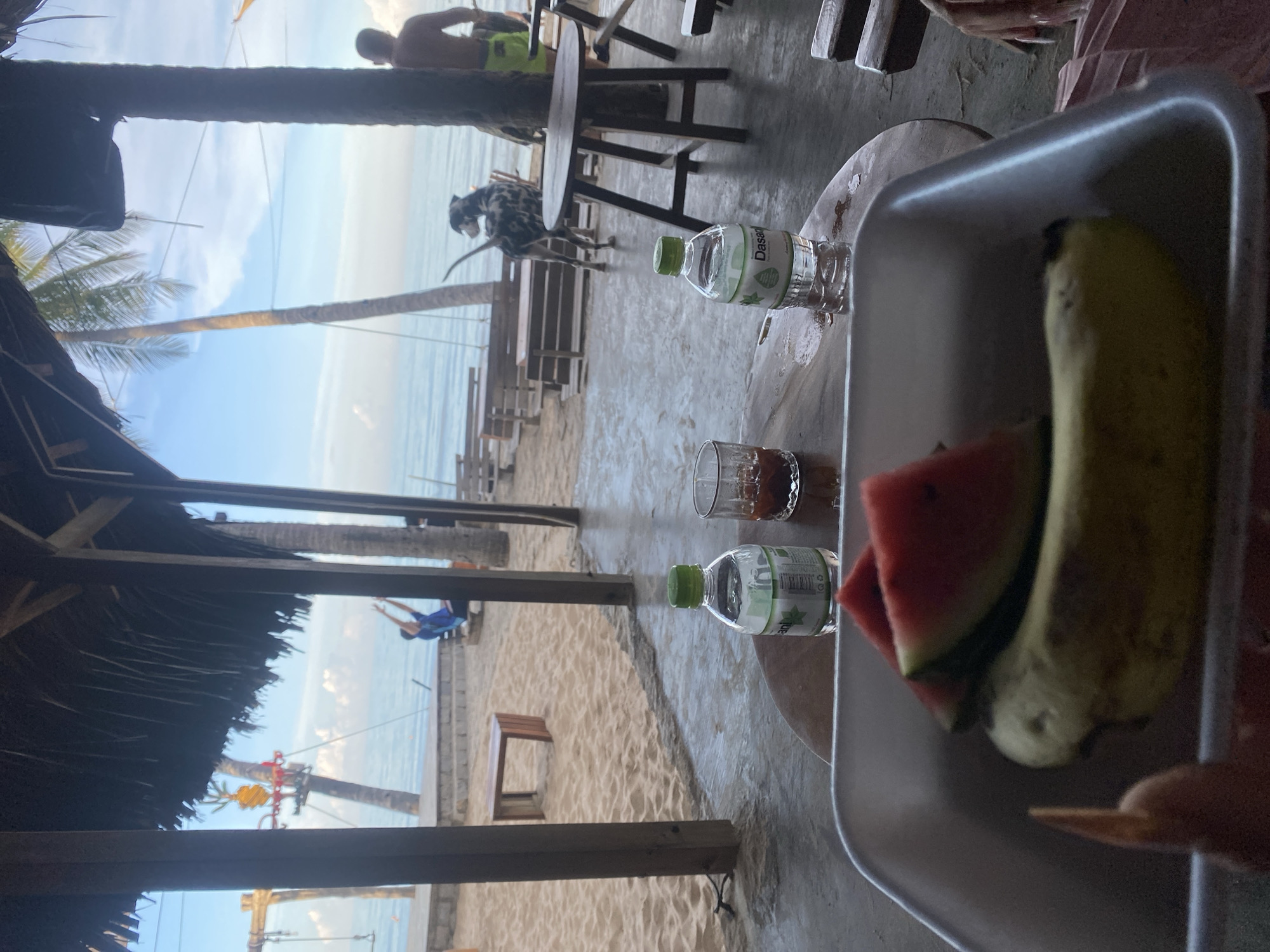 The image depicts a beachside cafe in Mui Ne, Vietnam. In the foreground, a tray holds a banana and slices of watermelon. On a table behind the tray, two bottles of water and a shot glass are visible. The background shows a sandy beach with wooden benches and tables, palm trees, and the ocean under a cloudy sky. A person in a blue shirt is seen on a swing set near the water, and a Dalmatian dog is present. Another person is standing near a palm tree on the right side of the frame. The cafe appears to have a thatched roof supported by wooden pillars.