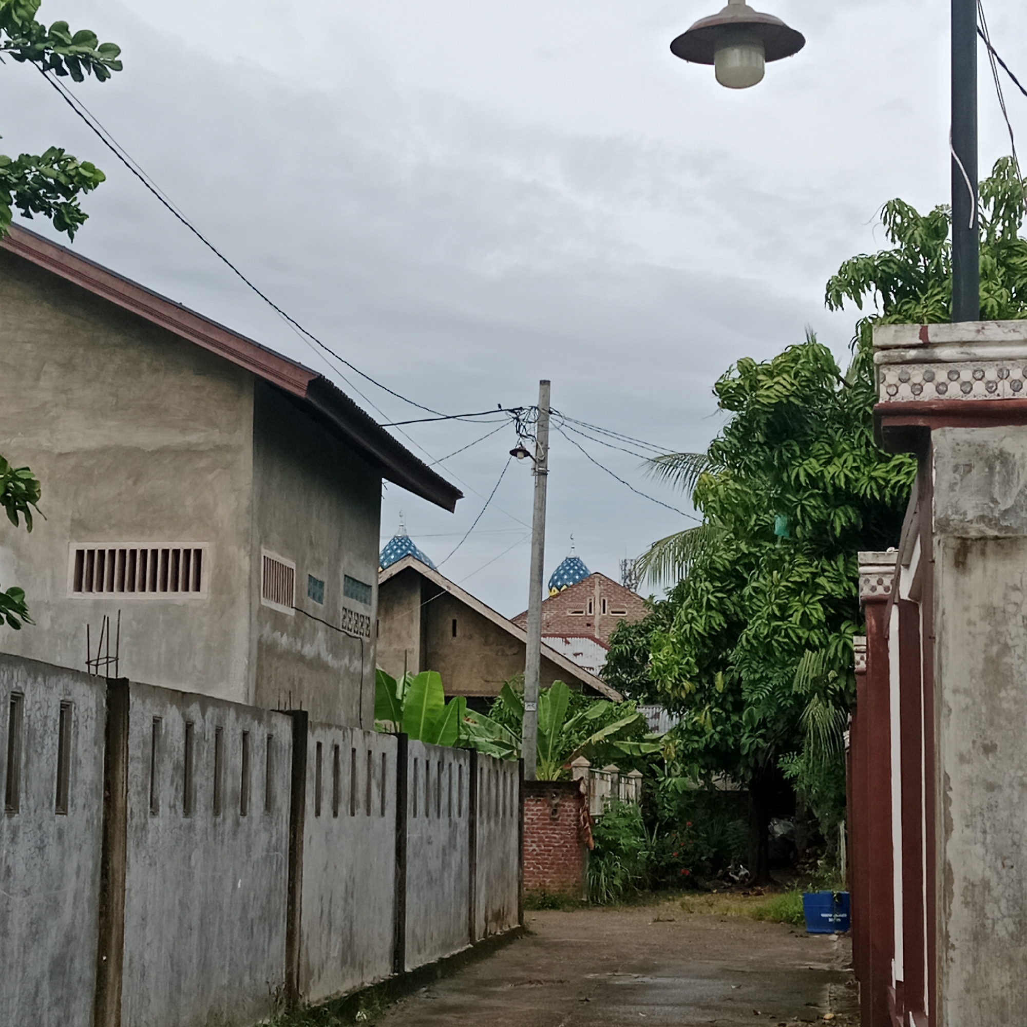 The image depicts a residential street scene in Lhokseumawe, Indonesia, under an overcast sky. A concrete wall with rectangular openings runs along the left side of the narrow, wet asphalt road. To the left of the wall, a light-colored building with a dark-pitched roof is visible, featuring a long horizontal window with vertical bars. Further down the street, two blue-domed structures, likely mosques, are partially visible behind other buildings. Lush green foliage from trees and banana plants is abundant on both sides of the street, with a large tree dominating the right side of the frame. A lamppost with a light fixture stands near the center of the image, with numerous electrical wires crisscrossing overhead. The building on the right, partially obscured by foliage, has a wall decorated with patterned tiles and a dark red trim. A blue plastic container is visible near the edge of the road on the right. No people are present in the image.