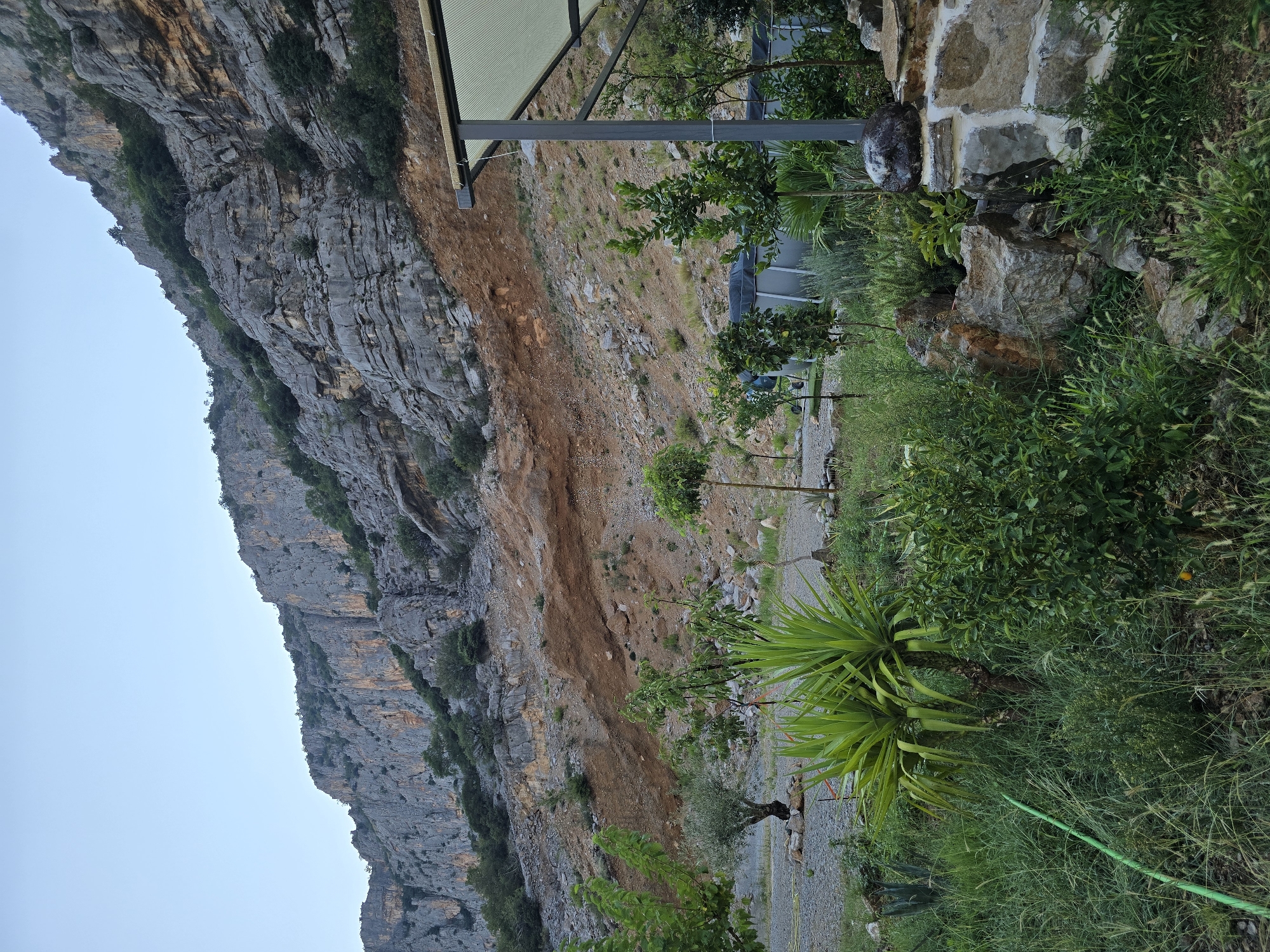 The image shows a rocky mountainside with sparse vegetation in Podgorica, Montenegro. In the foreground, there is a lush green garden with various plants, including a yucca plant, and a small stone structure. A green hose is visible on the left side of the image. In the midground, there is a gravel area with a few trees and a portable swimming pool. The background is dominated by the imposing, layered rock face of the mountain. The sky is clear and pale blue, suggesting it is either early morning or late evening.