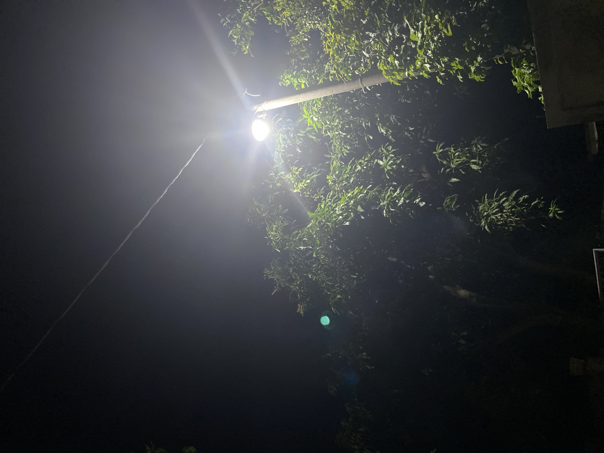 A low-angle, full shot captures a tall, concrete lamppost illuminating a cluster of trees at night. The lamppost, situated slightly right of center, is topped with a bright, white light that casts a strong glow, creating visible light flares and a streak across the dark sky. A thin, dark power line extends diagonally across the upper portion of the frame, originating from the left and stretching towards the light source. The trees surrounding the lamppost are dense with green leaves, many of which are brightly lit by the artificial light, creating a vibrant contrast against the dark background. To the lower right, a section of a concrete wall is visible, also catching some of the lamppost's illumination. The overall scene is one of an urban or semi-urban environment at night, with the lamppost serving as the central point of illumination.