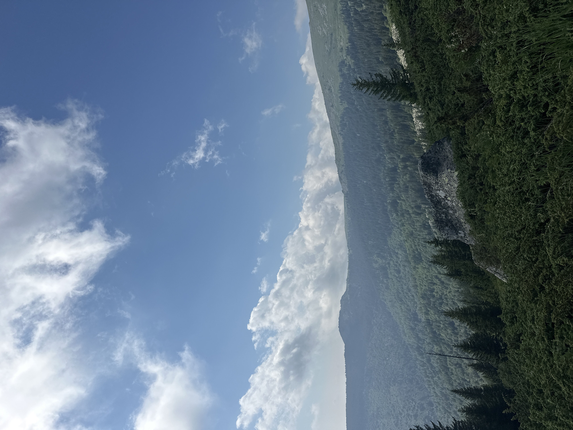 The image captures a panoramic view of a mountainous landscape under a bright blue sky with scattered white clouds. In the foreground, dense, dark green bushes and grass cover the lower part of the frame. A few scattered evergreen trees, some with bare branches, are visible amongst the foliage. A large, grey boulder rests on the bushes in the mid-foreground.
Beyond the foreground, rolling hills covered in a thick carpet of dark green coniferous forest recede into the distance. The texture of the forest suggests a vast expanse. Further in the background, the ridges of larger mountains are visible, some with sparse vegetation and rocky outcrops. The haze in the distance softens the details of the farthest peaks. The sky occupies the upper portion of the image, with wispy clouds spread across it, particularly towards the left and center. The lighting suggests it is daytime, likely mid-morning or afternoon. The scene is devoid of any human presence or activity. This scene appears to be located in the mountainous region surrounding Bistritsa, Bulgaria, possibly on a hiking trail with views overlooking the Vitosha Mountain range.