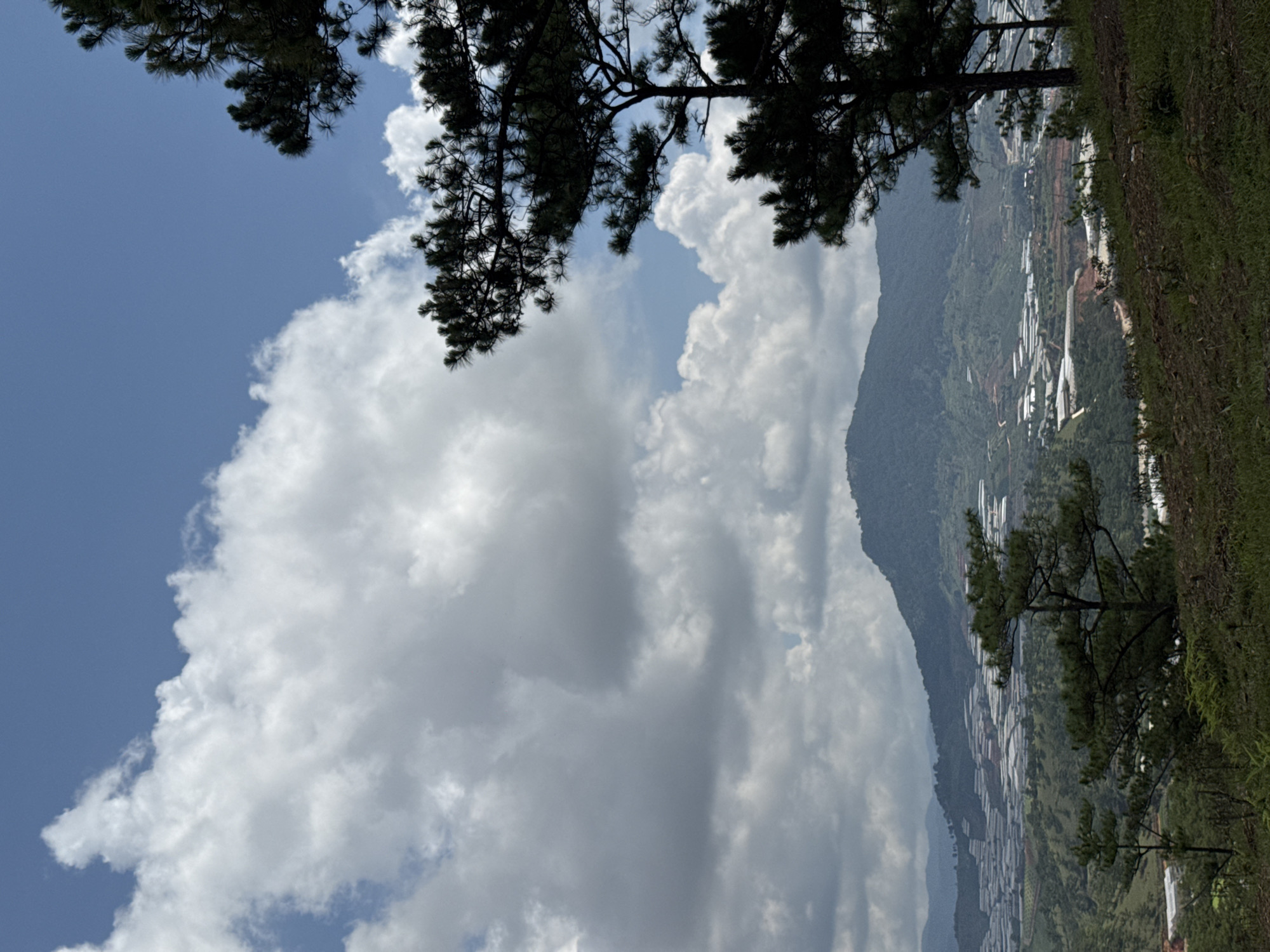 The image, taken in Lạc Dương, Vietnam, shows a hillside landscape under a sky with cumulus clouds. In the foreground, tree branches are visible at the top and side edges. The middle ground reveals a mountain ridge with agricultural structures (likely greenhouses) lining the slopes. The sky occupies a significant portion, displaying a mixture of blue sky and voluminous white clouds. Vegetation covers the visible land areas.