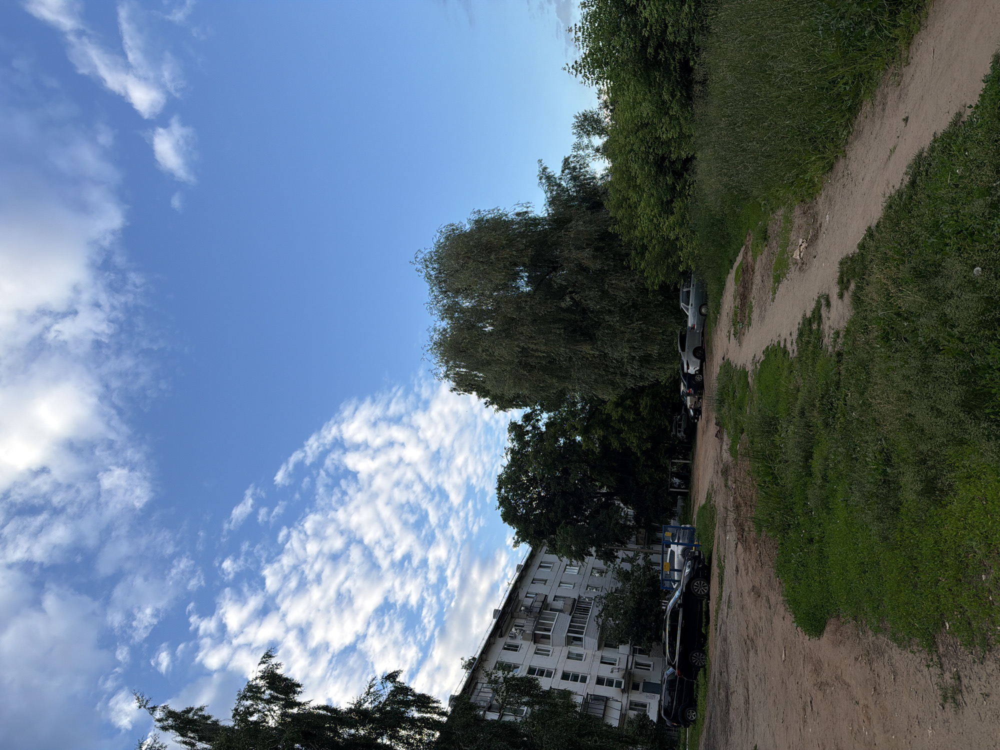 The image depicts a view of a residential area in Chaikovsky, Russia, on a partly cloudy day. In the foreground, a dirt path is visible, flanked by grassy areas. Several cars are parked on the side of the path. To the left, a multi-story apartment building with a light-colored facade stands. Tall trees with dense green foliage are scattered throughout the scene, with one particularly large weeping willow-like tree dominating the mid-ground. The sky above is blue with scattered white cumulus clouds. The scene appears to be an outdoor residential environment, possibly a courtyard or parking area adjacent to an apartment complex. No people are visible in the image.