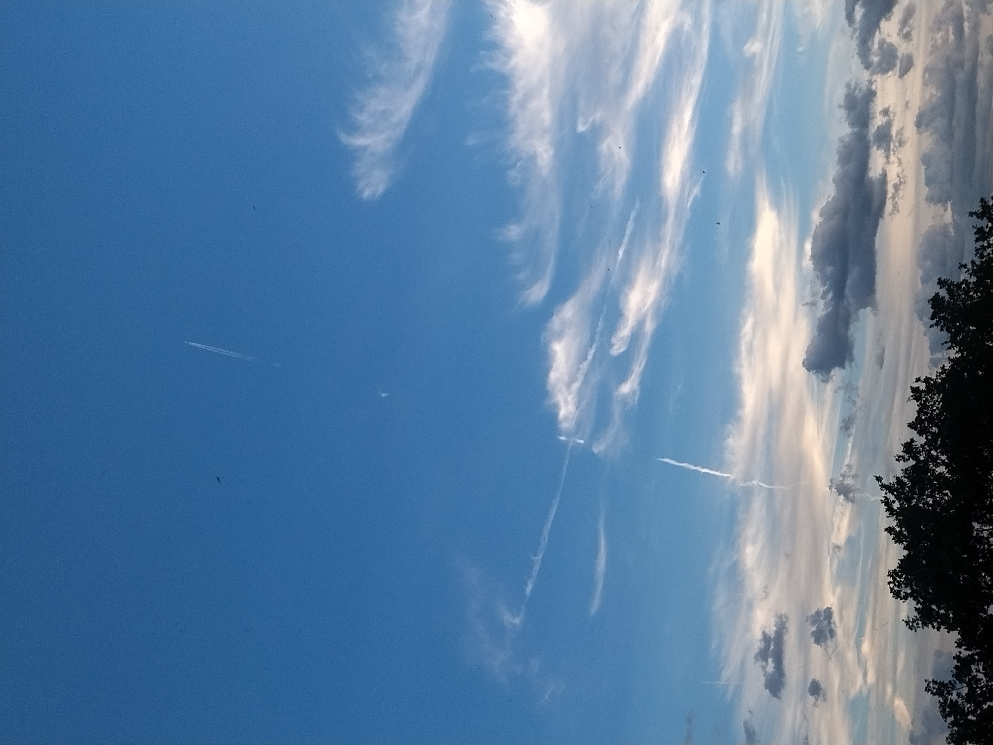 This image captures a wide-angle view of a blue sky with scattered clouds and contrails, as seen from Dobev, Czechia. The foreground is dominated by the dark silhouette of trees. In the sky, several contrails are visible, indicating the presence of aircraft. Some wispy white clouds are spread across the mid-ground, interspersed with darker, more solid cloud formations towards the bottom of the frame. A few small dark specks, potentially birds, are also discernible in the sky. The overall impression is a serene, daytime sky with signs of aerial activity.