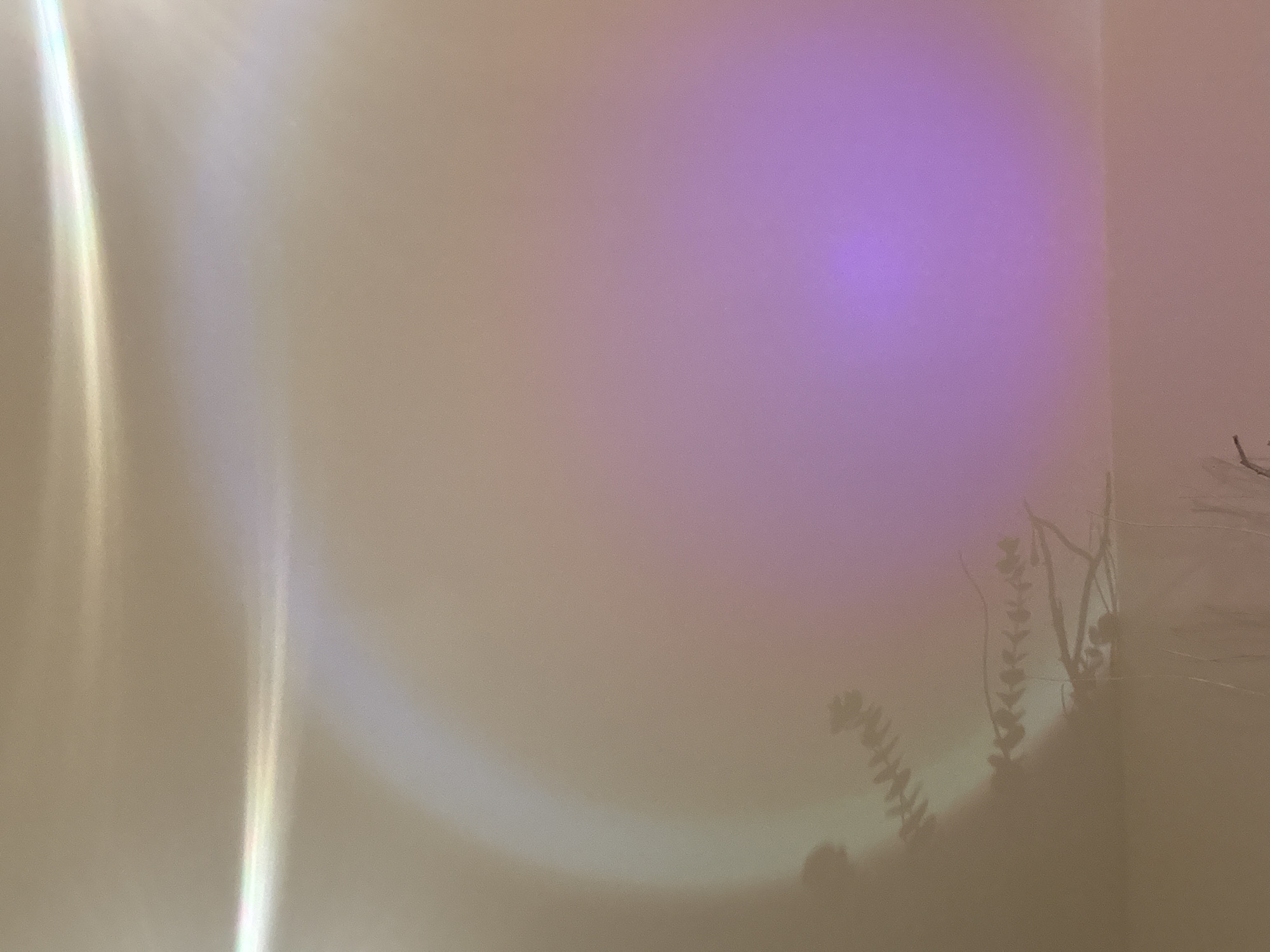 The image shows a section of an interior wall with light effects. On the left, there are vertical bands of light, and in the center, there's a diffuse, rounded area of purple light. Shadows of foliage are visible in the lower-right corner of the wall. The location is purportedly Puebla, Mexico, but no specific architectural details or landmarks confirm this location within the image. No people, specific objects, actions, or interactions are evident. The environment appears to be indoors, with the wall as the primary element.
