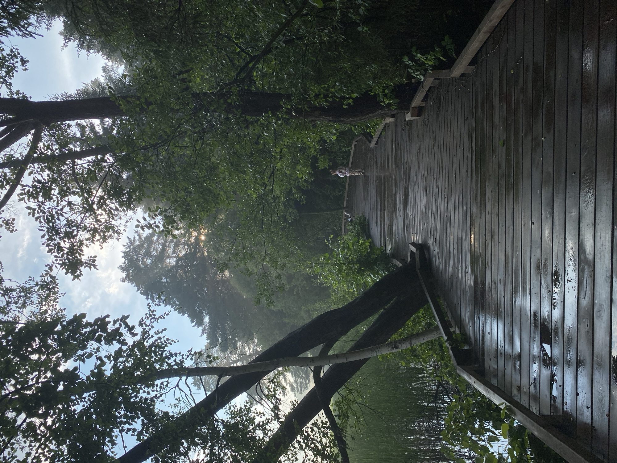 This is a full, eye-level shot of a wet, wooden boardwalk winding through a lush, green forest bordering a body of water. The boardwalk, made of dark wood planks, reflects the overcast sky and surrounding foliage. The sky is bright, with patches of sunlight filtering through the trees and some thin clouds. In the distance, a person is walking away from the camera on the boardwalk, and a small dog is beside them. Tall, mature trees with dense green leaves line the right side of the boardwalk, with a few leaning trees on the left. The water on the left appears to be a lake or pond, with tall reeds growing along its edge. The overall impression is a serene, natural setting, likely a park or nature reserve. It is highly probable that this scene is located in Votkinsk, Russia, given the typical landscape and prevalence of boardwalks in natural areas for visitor access.
