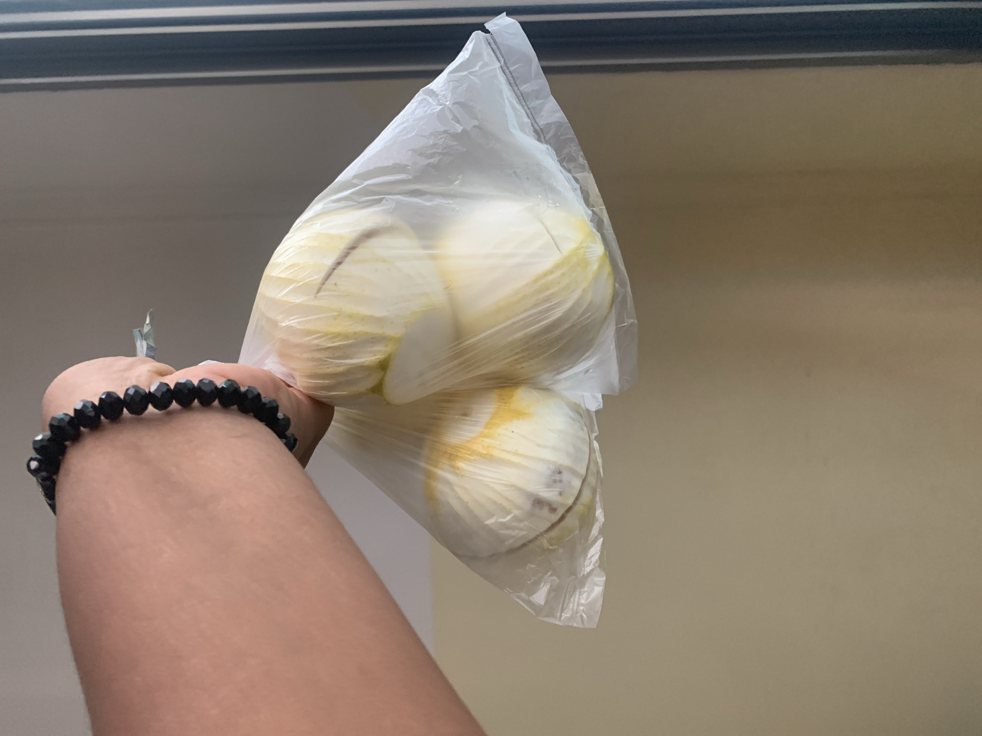 A close-up shot captures a person's arm and hand extending from the lower-left, adorned with a black beaded bracelet on the wrist. The hand holds a clear, crinkled plastic bag. Inside the bag are three pale, roundish objects, likely peeled fruits such as mangoes or similar tropical produce, exhibiting slight yellowish and brownish marks on their surfaces visible through the translucent plastic.
The background features a dark gray horizontal strip at the top, possibly an architectural element like an awning or roofline. Below this, the background transitions to a neutral-toned wall, which appears light gray on the left and shifts to a beige or light brown hue on the right.
The activity depicts the person holding or carrying the bag of contents, possibly after a purchase or for transport. The setting suggests an exterior or sheltered area, consistent with a tropical location like Dar es-Salaam, Tanzania. No specific time of day, weather conditions, or emotions are discernible from the image, and there is no visible text.