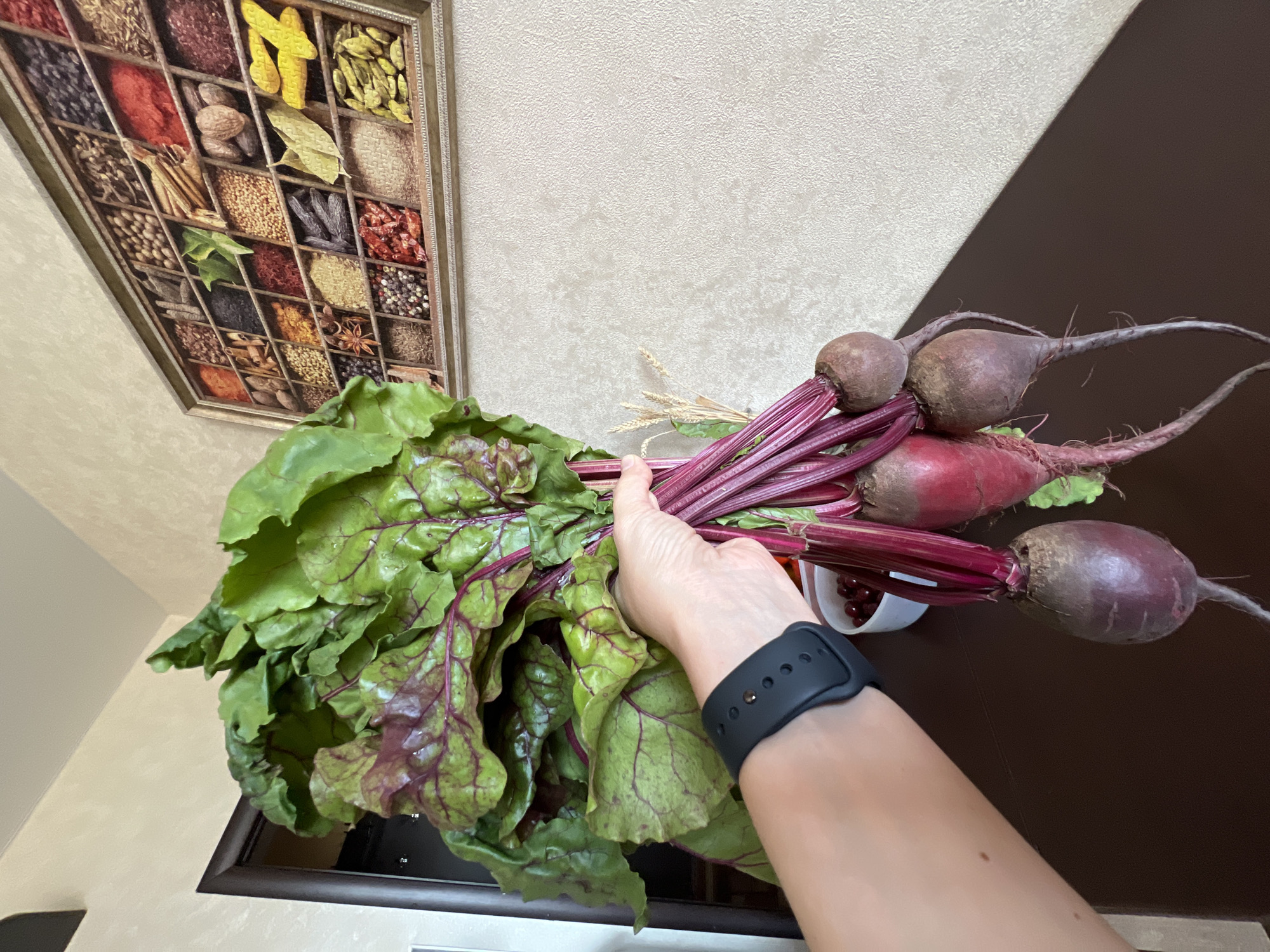 A person's arm and wrist, adorned with a black smartwatch, holds a bunch of freshly harvested beets with their green tops. The beets are dark red and have long, slender roots. In the background, a framed picture of spices hangs on a textured wall. A small white bowl filled with red berries is visible on a dark brown table, which also features a few stalks of dried wheat. The scene appears to be indoors, possibly in a home, with a doorframe visible to the left. There is no indication of the location being Tolyatti, Russia.