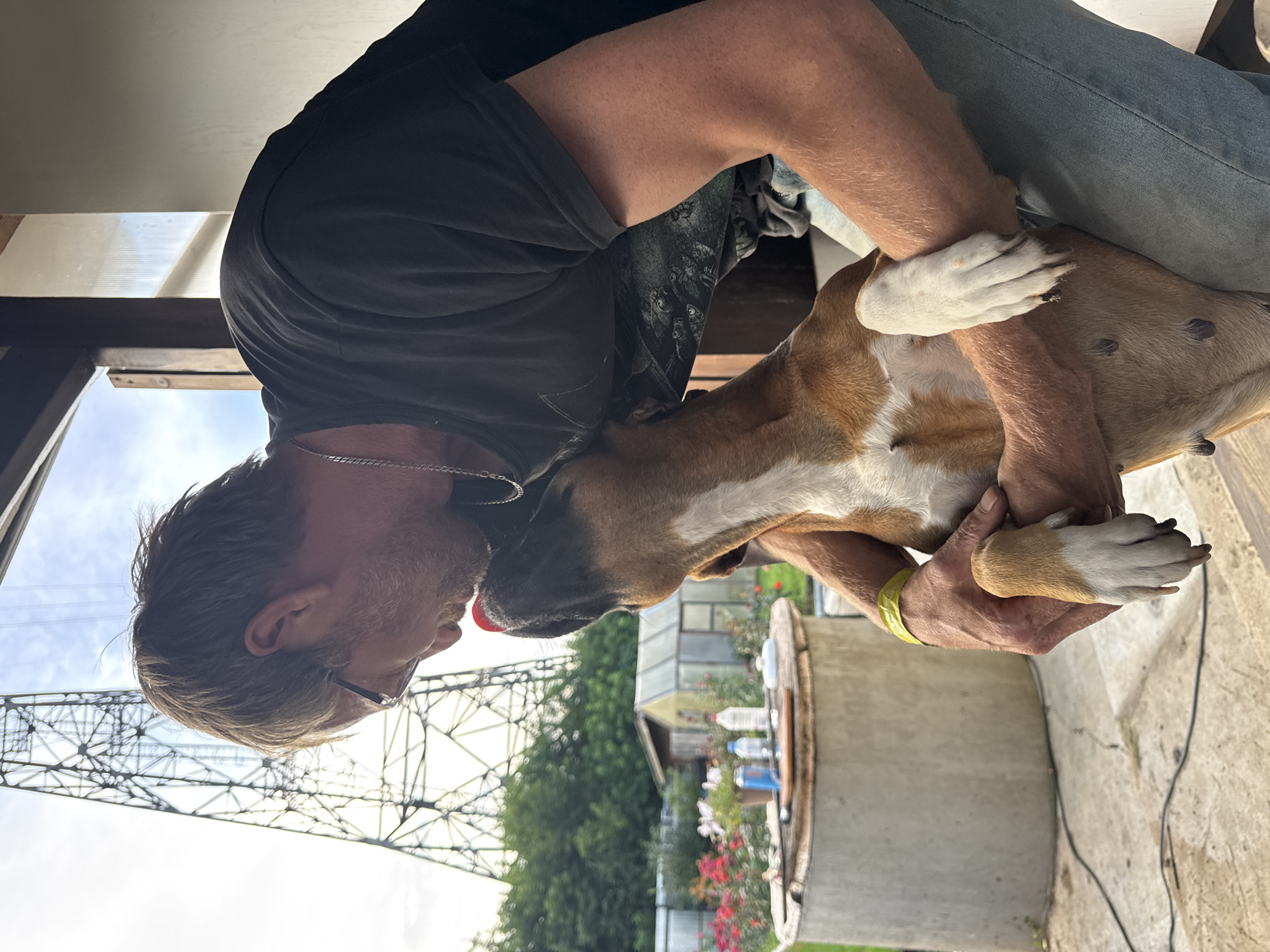 A man wearing glasses and a black t-shirt is embracing a boxer dog. The dog is brown and white and is licking the man's face. They are outdoors, possibly in a backyard, with a large metal tower in the background. There is also a greenhouse and a circular concrete structure visible. The scene suggests an affectionate moment between the man and his pet in a somewhat rural setting, likely on the outskirts of Chaikovsky, Russia, given the presence of industrial infrastructure like the transmission tower.