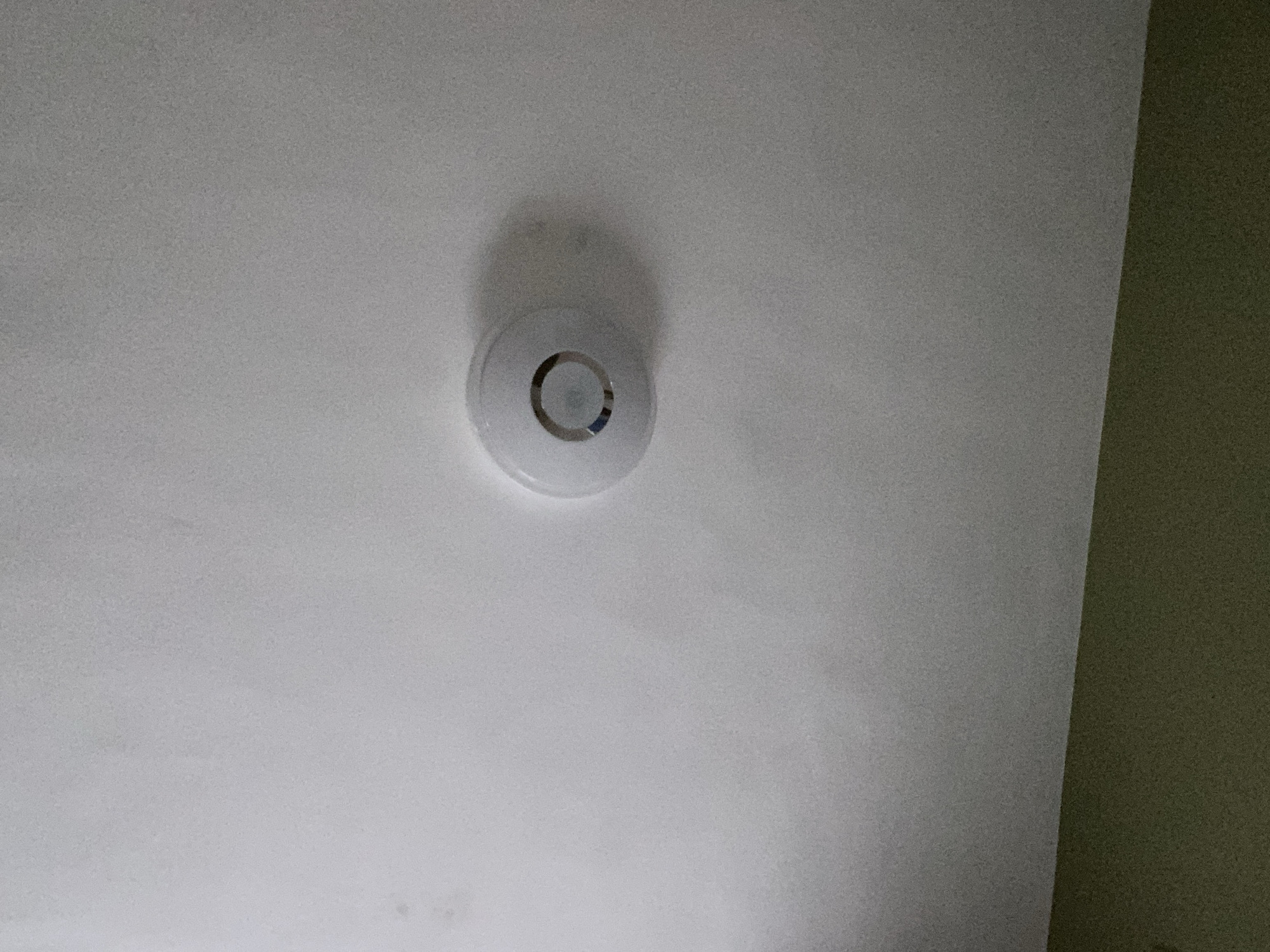 A white ceiling with a round white smoke detector mounted on it. Part of a green wall is visible in the upper right corner. The location in Sofia, Bulgaria is not discernible from the image.