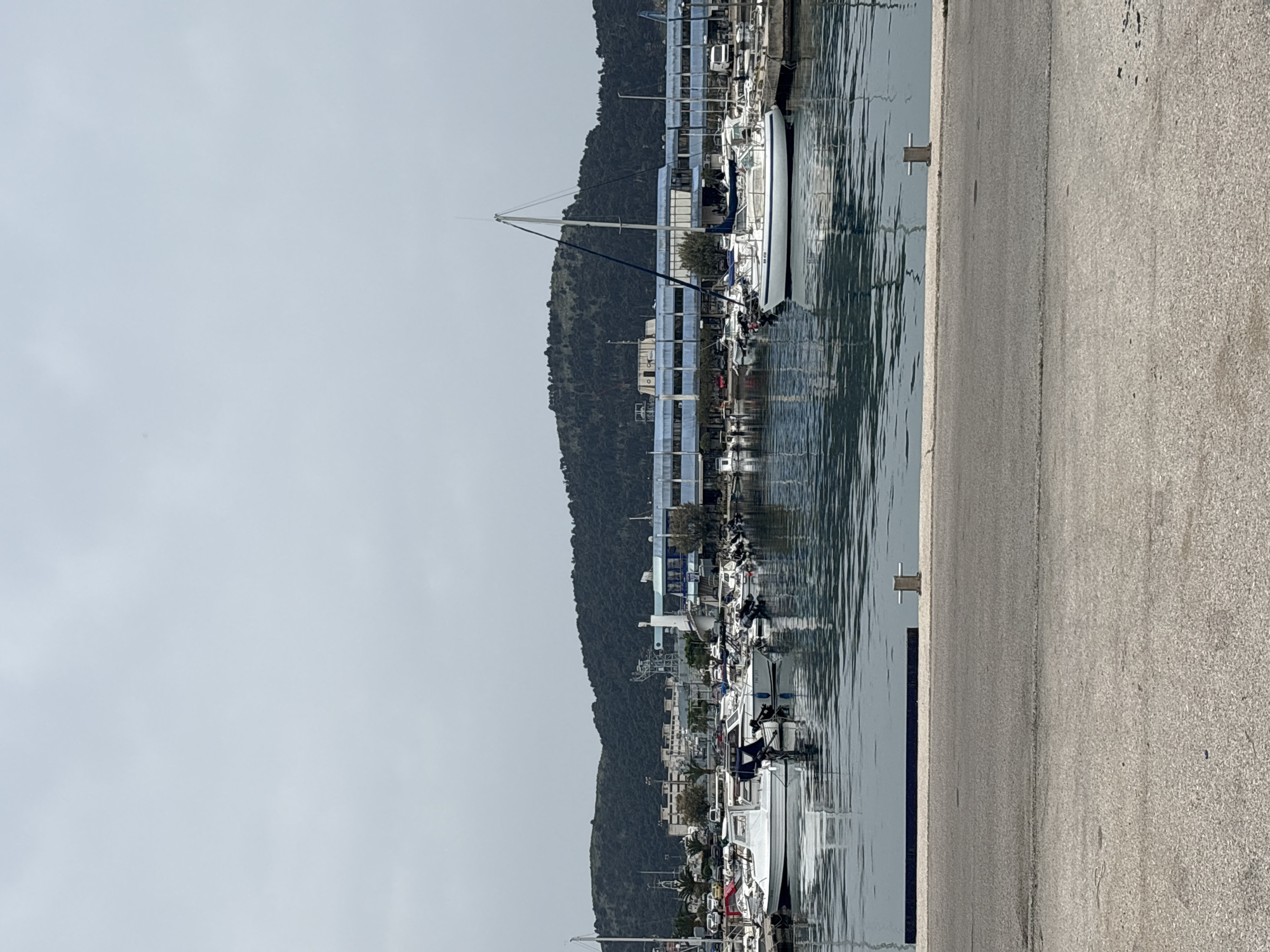 The image depicts a marina in Bar, Montenegro. Several boats are docked along a concrete quay. In the background, a tree-covered hill rises behind a row of buildings. The sky is overcast. The water in the marina is calm with reflections of the boats and buildings. The ground is a concrete road. There are no people visible in the scene.