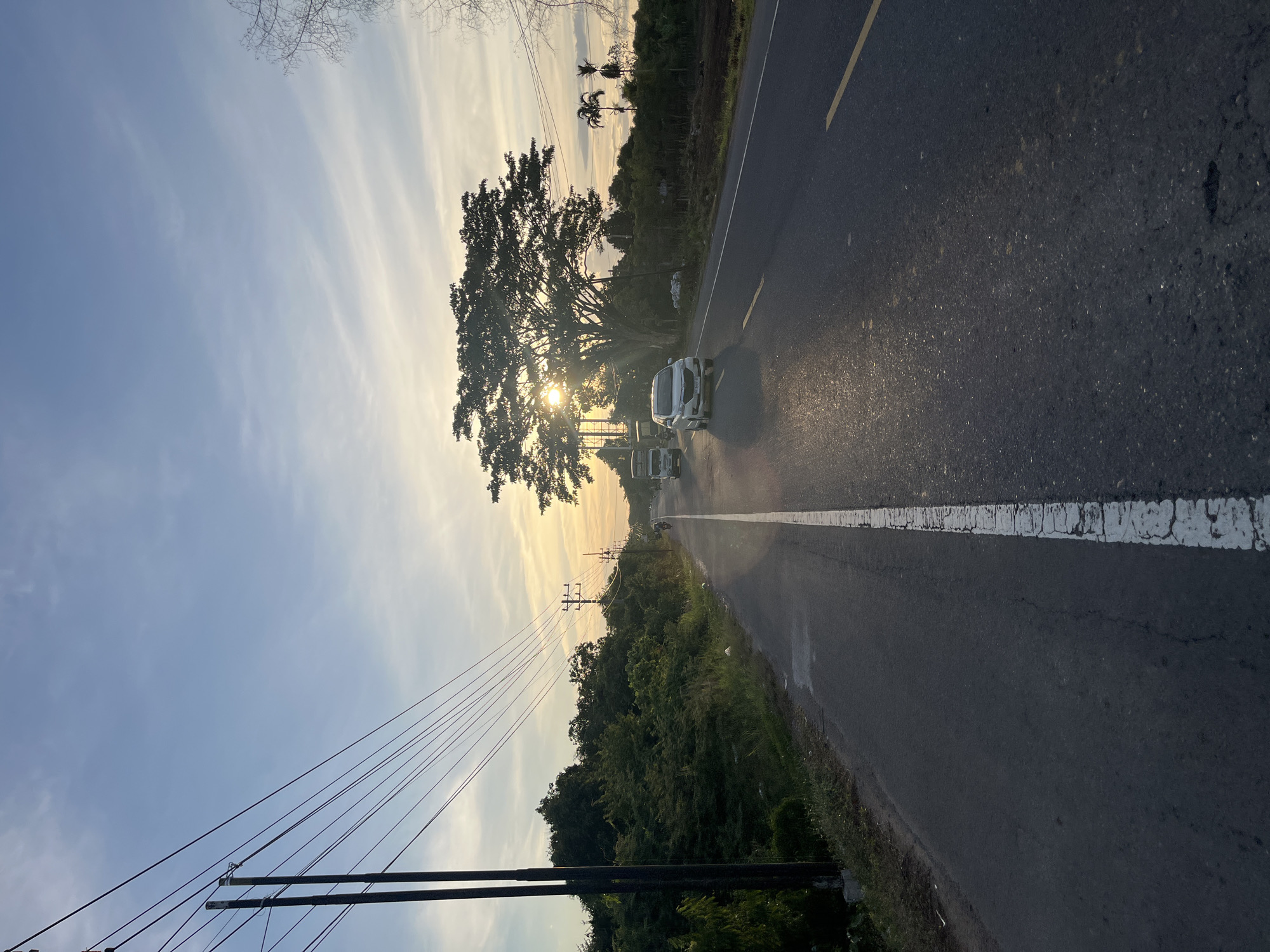 The image depicts a scenic rural road in Lhokdagang, Indonesia, at what appears to be sunset or sunrise. A paved road with a white center line runs through the frame, with lush green vegetation lining the left side. Tall utility poles with multiple wires stretch across the sky. Several vehicles, including cars and trucks, are visible on the road, suggesting active traffic. A large tree dominates the right side of the frame, its branches silhouetted against the warm glow of the setting or rising sun. Palm trees are also visible in the distance. The sky is a soft blue with streaks of white and yellow clouds. The overall atmosphere is serene and tranquil, characteristic of a rural Indonesian landscape.
