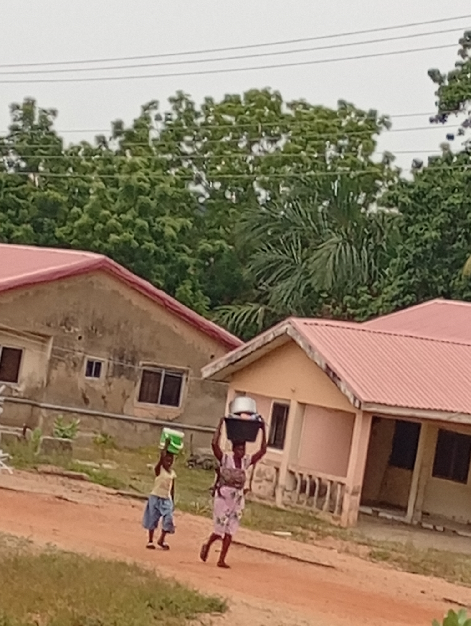Two individuals are walking on a dirt road in what appears to be a rural or developing area. The person in the foreground is an adult wearing a light-colored patterned dress and carrying a large metal container on their head. Behind them, a child wearing a light-colored shirt and blue shorts carries a green container on their head. The road they are walking on is reddish-brown dirt.
In the background are several buildings with reddish-brown roofs and beige or light-colored walls. The buildings appear to be simple, residential structures. Behind the buildings, there is a dense group of trees with green foliage. The sky is overcast, suggesting it may be a cloudy day. Electrical wires can be seen strung through the trees.
The location is in the city of Unknown, Unknown.