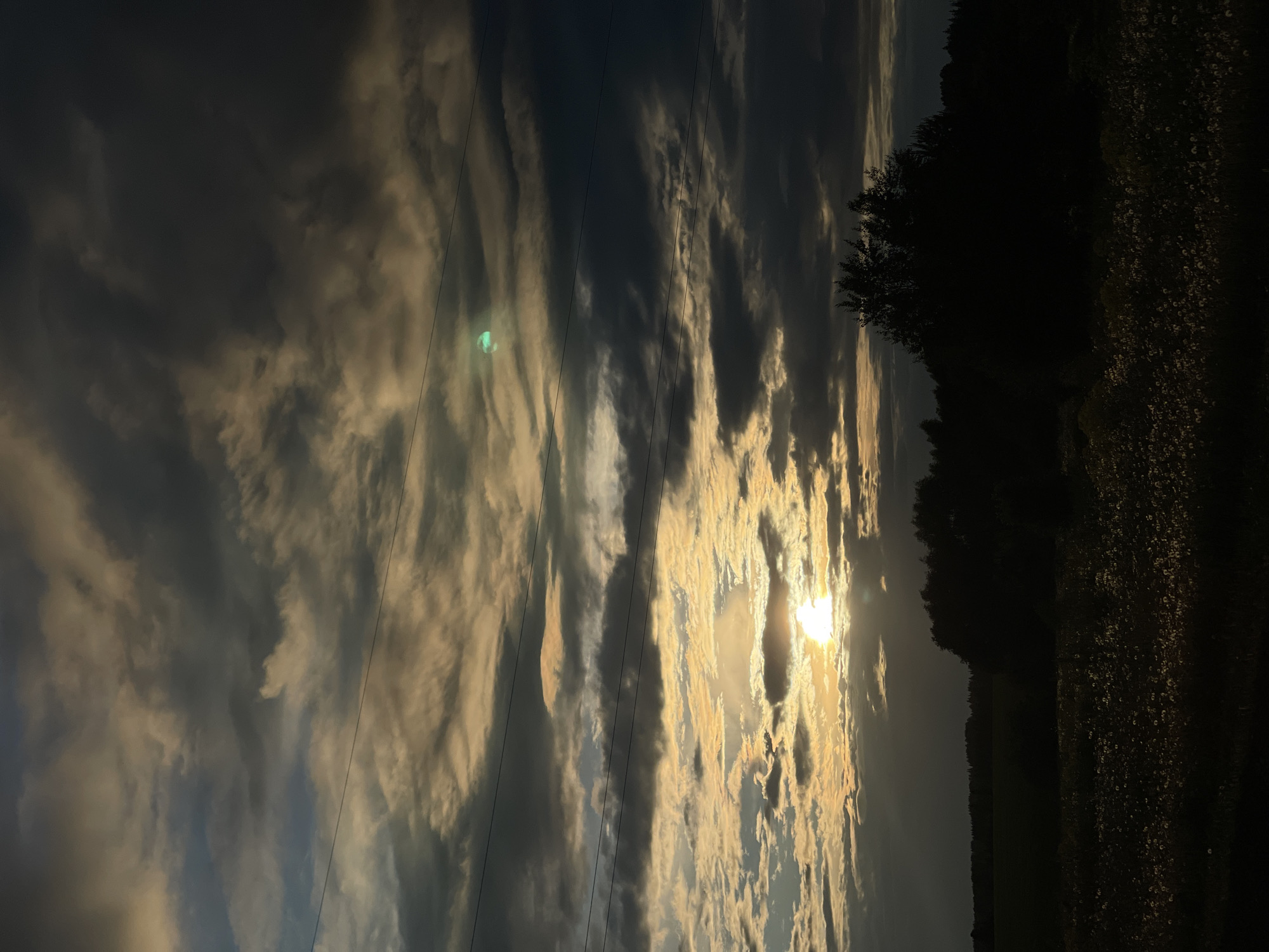 The image captures a dramatic sky at either sunrise or sunset, viewed across a silhouetted landscape. The vast sky occupies the majority of the frame, filled with a dynamic interplay of clouds. Patches of dark blue-grey sky are interspersed with voluminous clouds that are brilliantly illuminated by the low-angle sun, giving them golden and warm orange hues. The sun itself is visible on the left side of the sky, shining intensely through and around some cloud cover, creating a bright burst of light.
Several thin, dark lines, resembling power or communication wires, traverse the sky diagonally from the upper left to the lower right. A distinct, circular greenish-blue lens flare is present in the upper-middle section of the sky, a common optical artifact when shooting into direct light.
In the lower portion of the image, a dark, silhouetted horizon line reveals the tops of trees and what appears to be an expansive field or overgrown land. The field shows numerous small, lighter specks, possibly indicating wildflowers or dry vegetation catching the ambient light. The overall scene suggests an open, rural setting during the golden hour, evoking a sense of tranquility and natural grandeur. There is no visible text in the image.