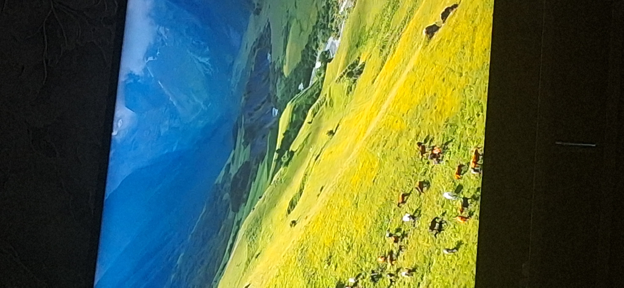 The image displays a vibrant, high-definition television screen showing a scenic landscape. The scene depicts a vast, rolling green hillside bathed in bright sunlight, with a river winding through a valley in the distance. Majestic, blue-toned mountains rise in the background, their peaks partially obscured by mist or clouds. Scattered across the hillside are numerous horses, some grazing and others standing in small groups. Their coats vary in color, from dark brown to lighter shades, and a few white horses are also visible. The overall impression is one of a peaceful and natural environment.
This image is a photograph of a television screen and does not depict any location in the city of Bila Tserkva, Ukraine.