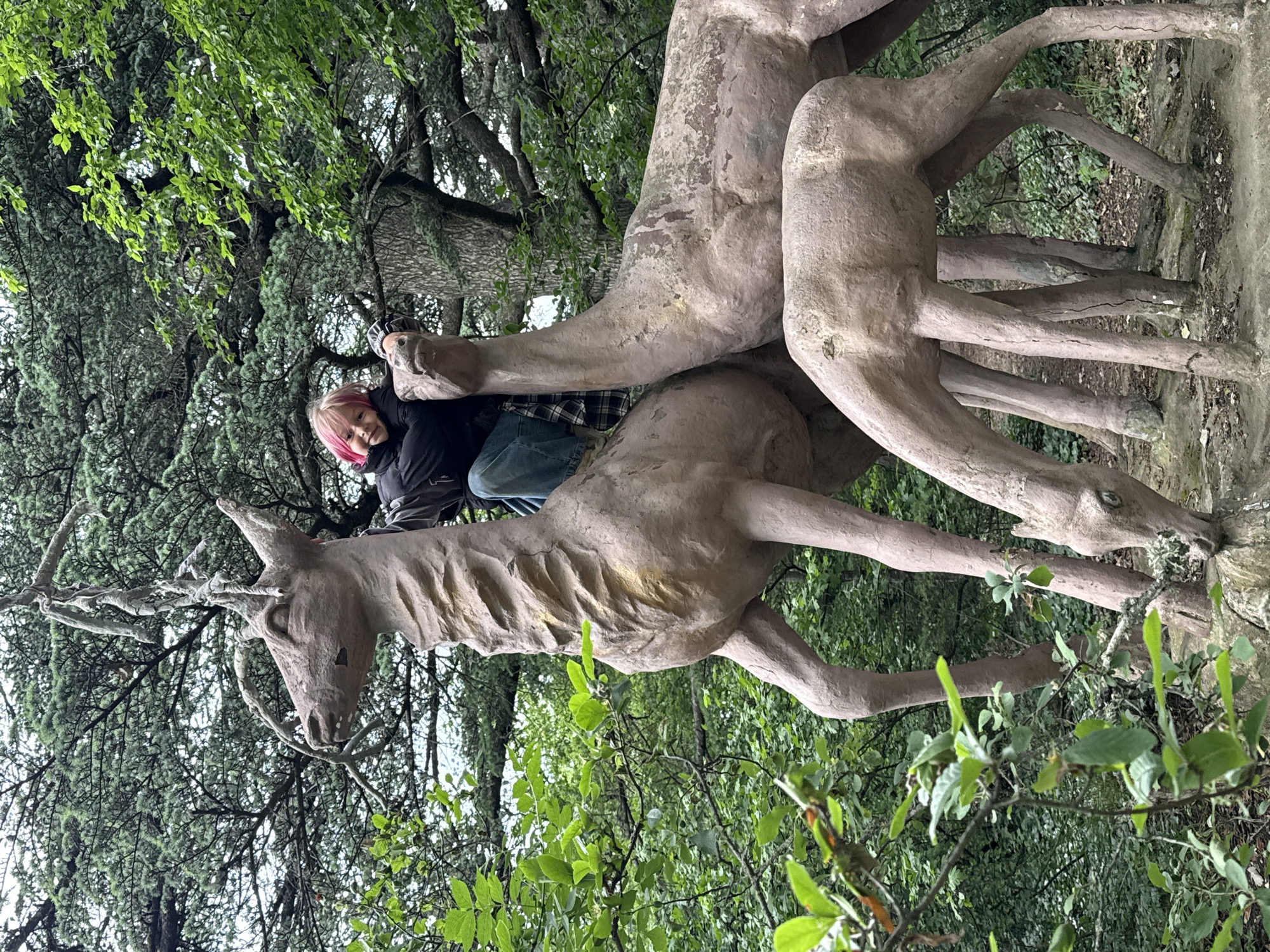 The photo shows a person sitting atop a weathered stone sculpture of two deer or stags in a wooded area. The person is wearing a dark jacket, blue jeans, and has light hair with pink streaks. The sculpture is nestled among trees with dense green foliage. The location appears to be a park or garden, possibly an outdoor art installation. The scene is situated in the city of Unknown, Unknown.