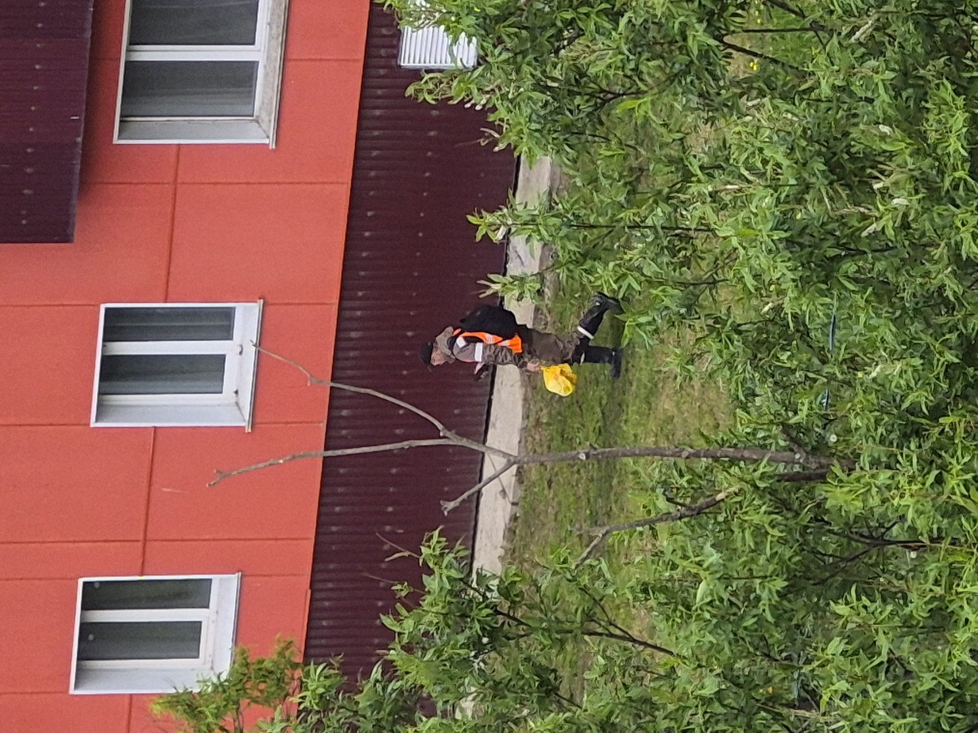 A person in work clothes, including an orange safety vest, is walking outdoors. They are wearing dark pants and black boots, and have a dark backpack. They appear to be carrying a bright yellow bag or container. The person is walking on a grassy area next to a building with a bright red facade and dark red siding. There are multiple windows on the building. The scene is framed by green foliage from trees and bushes, obscuring some of the view. The image appears to be taken from an elevated perspective, looking down at the scene. The lighting suggests it could be daytime. The location is specified as Uglegorsk, Russia. No visible text is present in the image.