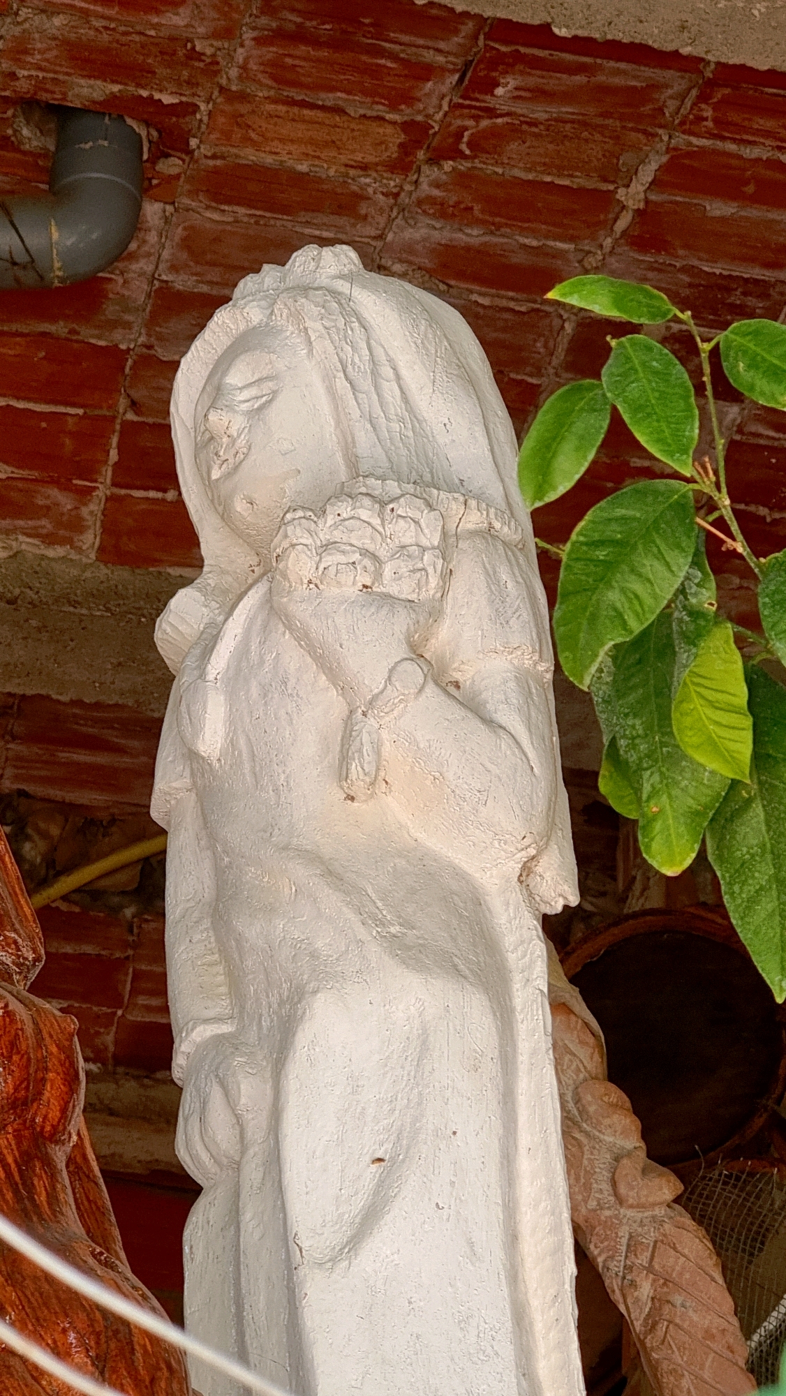 A white stucco statue of a woman holding a bouquet of flowers stands in front of a red brick wall. The statue is wearing a veil and a dress. To the right of the statue is a green leafy plant. The background shows a pipe protruding from the wall. The scene is likely outdoors, possibly in a garden or courtyard, in the city of Sant Joan les Fonts, Spain.