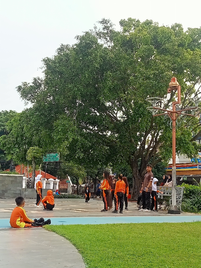 Memory