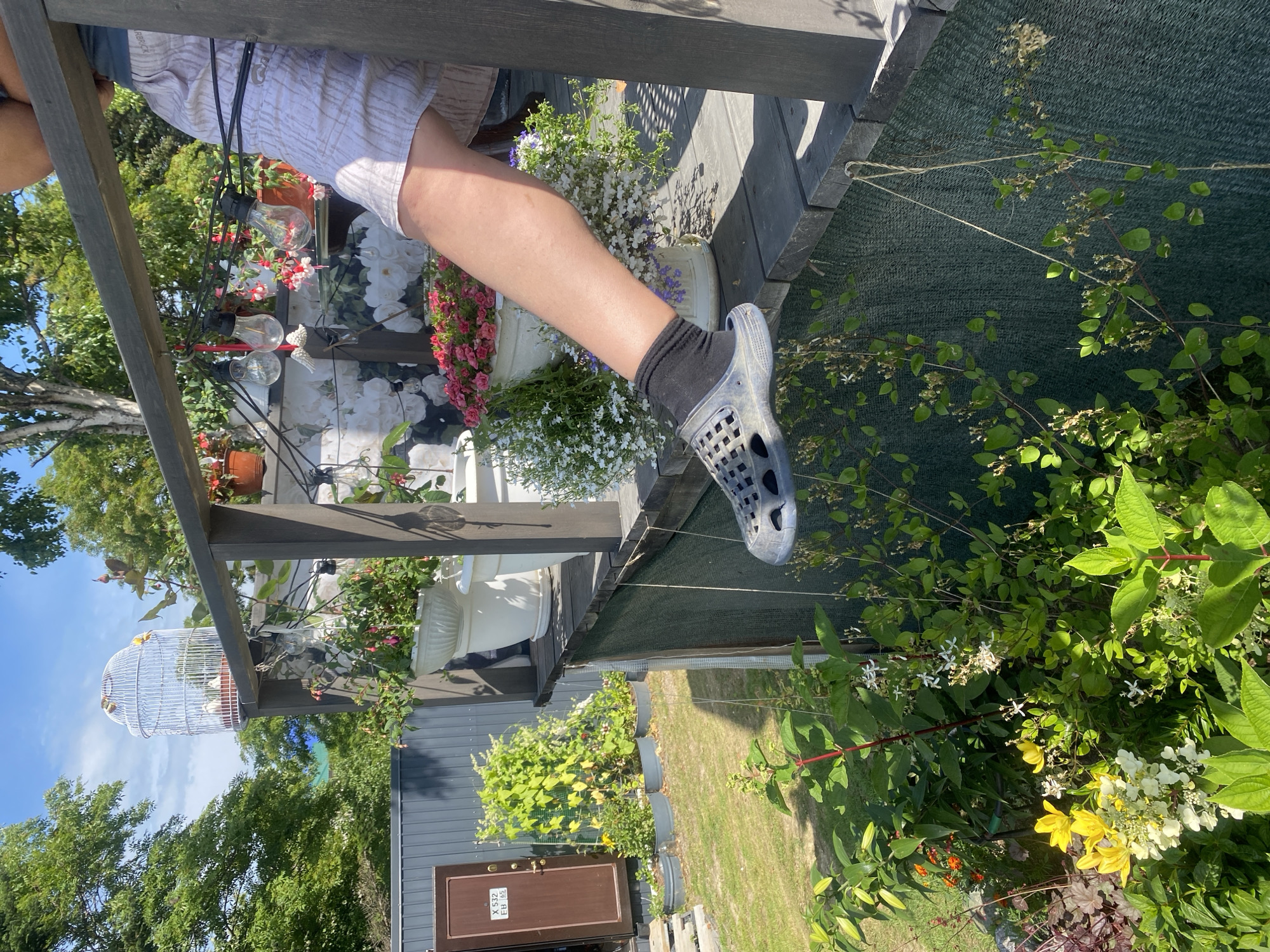 The image depicts an outdoor scene on a sunny day, likely in a backyard or garden setting. In the foreground, a person's lower right leg and foot are visible, clad in a black sock and a grey perforated clogg-style shoe. The person is seated, with their leg resting on a wooden deck. Hanging from the railing above is a string of vintage-style light bulbs. To the left, a white birdcage containing several small birds sits atop a wooden post. Various potted plants with pink and white flowers are arranged on the deck and surrounding area. In the background, a grey corrugated metal fence and a wooden door are visible, along with lush green trees and a bright blue sky. The overall impression is one of a relaxed, domestic outdoor space.