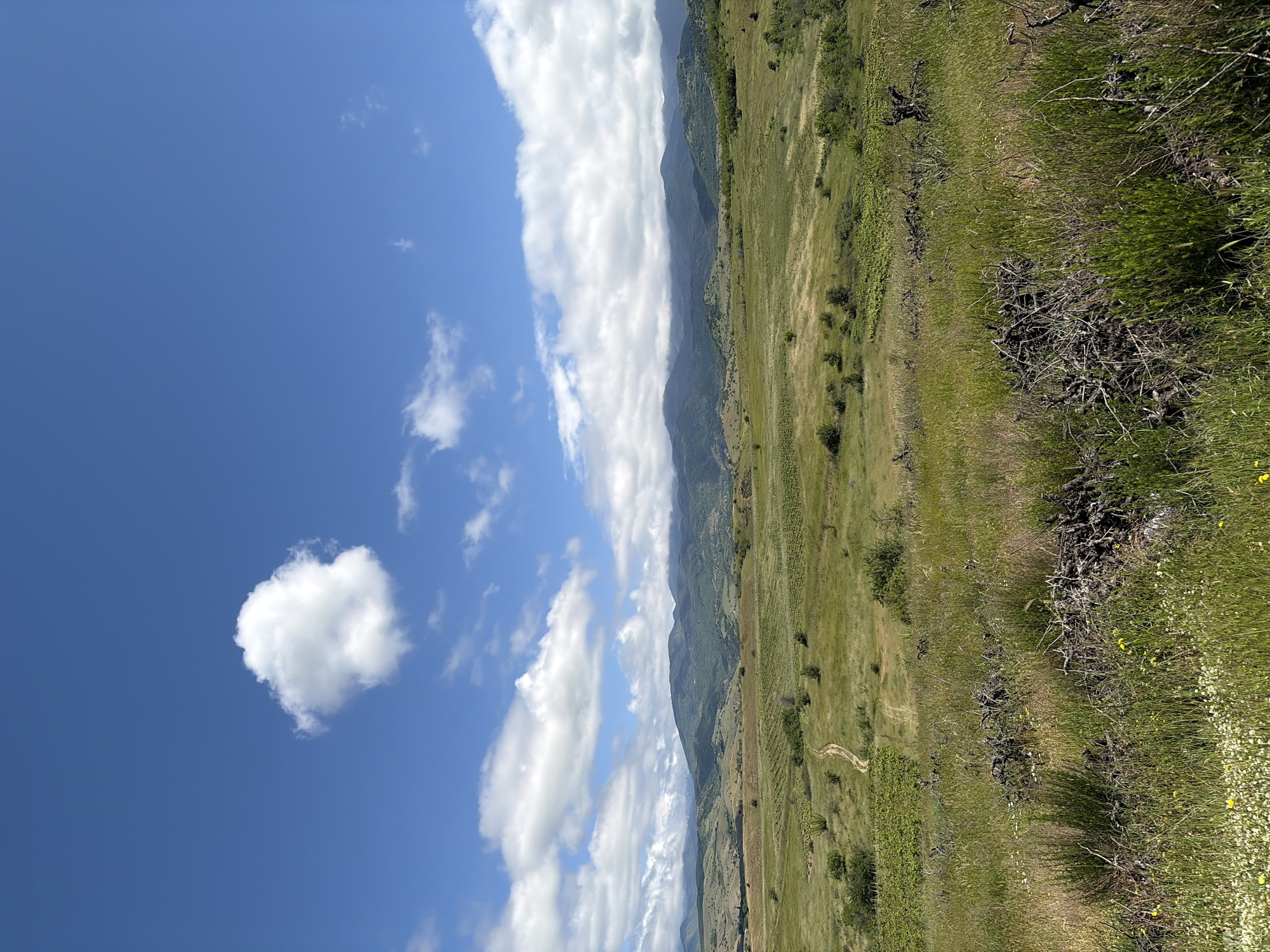 The image depicts a landscape with a clear blue sky punctuated by cumulus clouds. In the foreground, there is a field covered in green grass and vegetation, interspersed with dried shrubs and small yellow and white flowers. In the middle ground, rolling hills covered in greenery and some sparse vegetation can be seen. A dirt path is visible winding through the landscape. In the background, a chain of mountains is partially obscured by clouds. The location is Unknown, Unknown.
