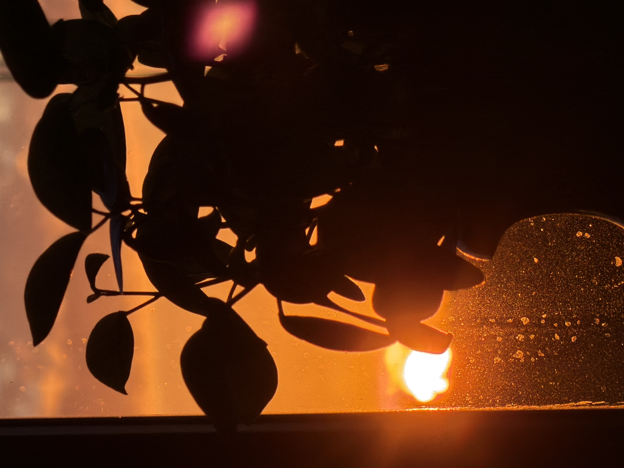 The image captures a silhouette of a plant against a fiery orange sunset viewed through a window in Blagodat', Russia. The glass is speckled with what appear to be water droplets or dust particles, illuminated by the setting sun. The plant's leaves and stems are rendered as dark shapes against the bright sky, with a soft lens flare visible in the upper right quadrant. The scene evokes a sense of domestic tranquility against a dramatic natural backdrop.