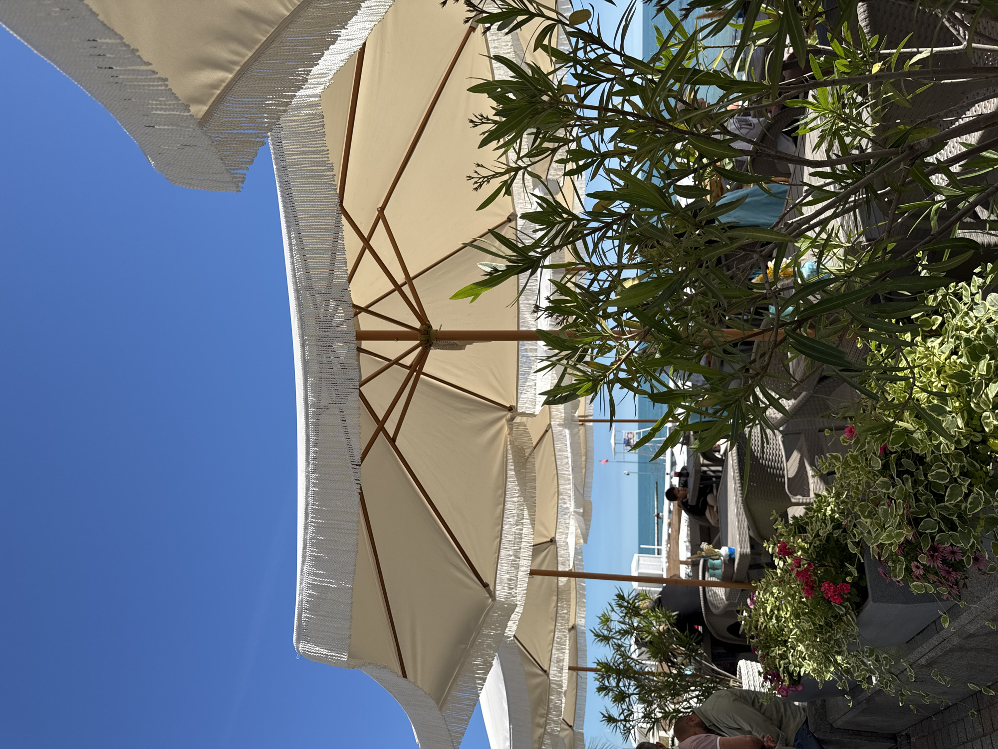 This image depicts an outdoor dining or lounge area under a bright, clear blue sky, likely situated by the sea in Sochi, Russia. Several large, beige or off-white parasols with decorative fringe along their edges dominate the foreground and midground, providing shade. Their wooden frames are visible from underneath.
Various green plants, including some with elongated leaves resembling oleander and others with variegated foliage, are strategically placed in large pots, adding natural elements to the scene. Some plants feature small pink flowers.
Beneath the umbrellas and amidst the greenery, several people are visible, mostly partially obscured by the foliage or umbrellas. They appear to be seated at dark, possibly rattan-style, tables and chairs, suggesting a relaxed social setting. One person in the foreground wears a light green shirt, while another has a pink striped shirt.
In the background, a calm, clear blue body of water (the sea) stretches out under the horizon. Distant structures, possibly a pier or part of a harbor, are faintly visible on the water's edge. The scene is bathed in bright daylight, indicating a sunny day, likely midday or afternoon, given the intensity of the light and the shadows cast. No visible text is present in the image.