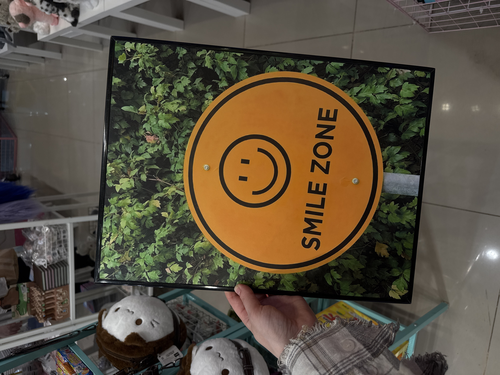 The image shows a framed sign that reads "SMILE ZONE" in black letters on an orange circle. The circle also features a simple smiley face. The background of the sign is a dense collection of green leaves. The sign is being held up by a person wearing a gray and white plaid shirt. In the foreground, there is a shelf with various items, including plush toys. The location appears to be inside a store. The absence of visual evidence of the city of Moscow, Russia, means its location cannot be ascertained from the image.