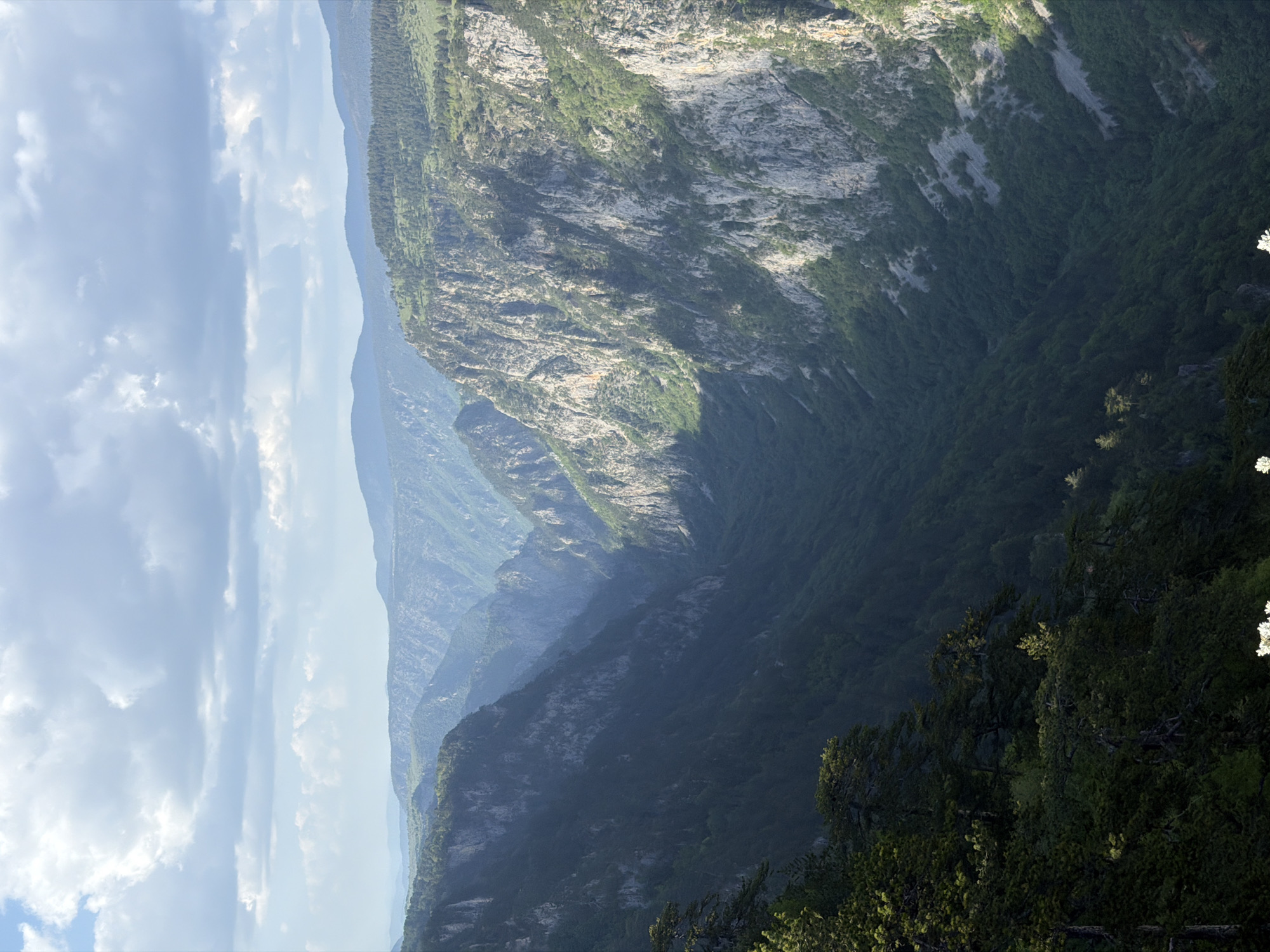 This landscape photograph depicts a deep canyon or gorge in a mountainous area. The location is identified as Nedajno, Montenegro. The perspective is from an elevated point, looking down into the canyon, with layers of progressively distant mountain ridges creating a sense of depth and atmospheric perspective. The sky on the left side of the frame is partially covered with clouds. The slopes of the canyon are vegetated with trees and other greenery, with visible rock formations exposed in some areas. The right side of the image shows the foreground vegetation of trees and foliage. The light suggests it is daytime, with some areas in shadow.