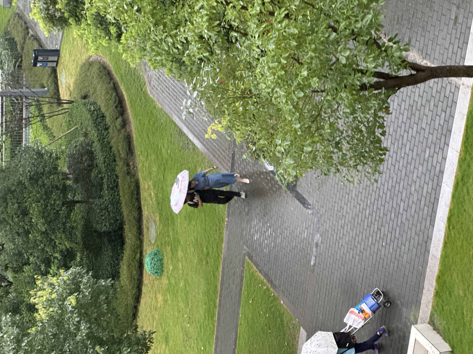 The image shows an overhead view of a paved walkway and a grassy area, likely in a residential complex or park in Chongqing High-tech Zone, China. Two people are walking together under a pink and white umbrella, suggesting it is raining or at least overcast. One person is wearing a blue outfit, and the other is wearing black. The umbrella is shielding them from above. Further down the walkway, another person is seen walking with a shopping cart filled with bags, also holding a white umbrella. The surrounding environment features lush green grass, manicured bushes, and trees with dense foliage. A small, dark structure, possibly a utility box or security post, is visible on the left side of the frame, near the edge of the grassy area. The paved walkway is made of grey rectangular bricks. The scene appears to be during the daytime, with soft, diffused light indicative of a cloudy or rainy sky. There is no visible text in the image.