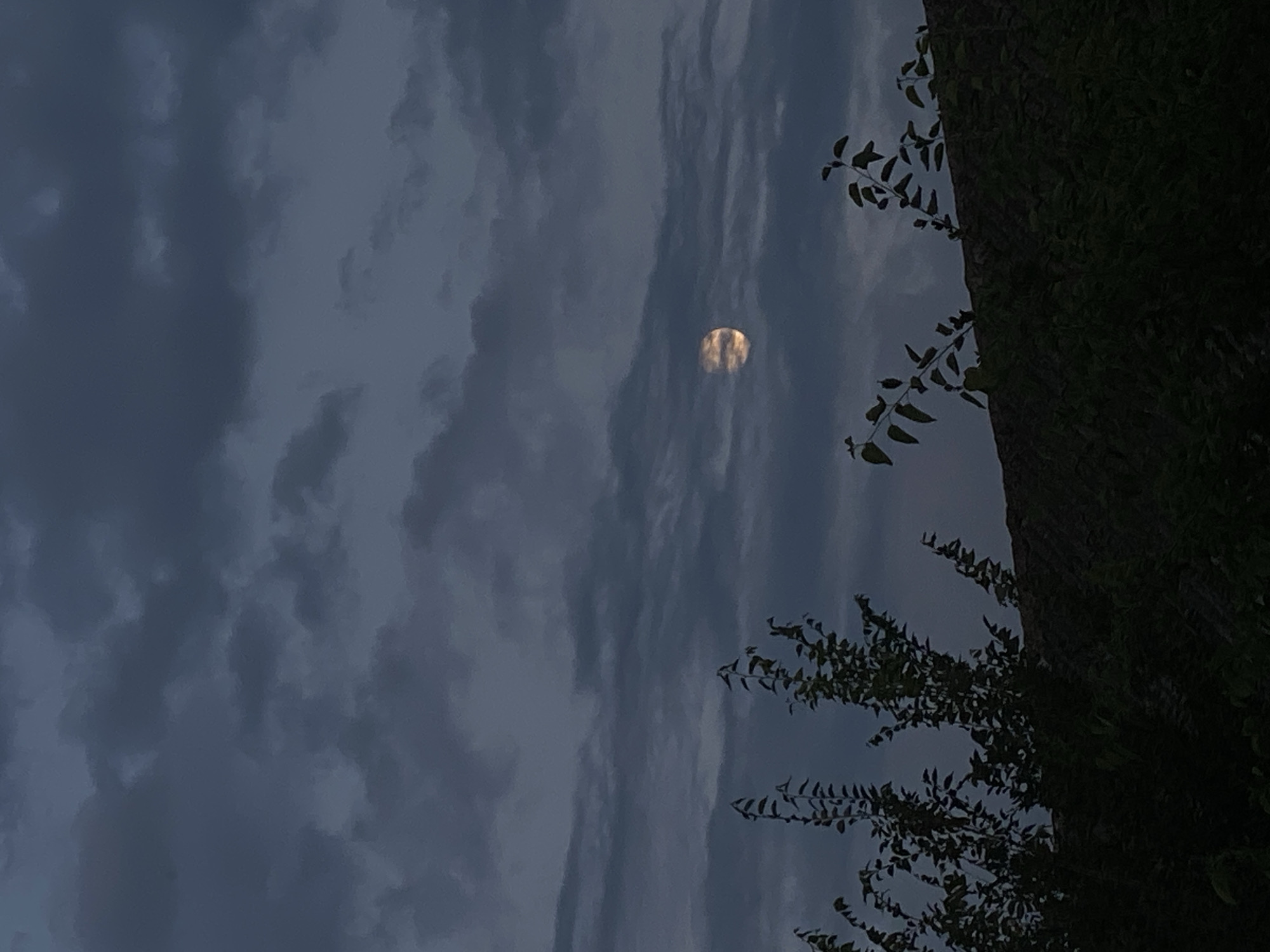 The image depicts a cloudy sky with a partial moon visible through the clouds. In the foreground, silhouetted against the sky, are branches of trees and a dark, textured surface that could be a wall or embankment. The overall atmosphere is dim, suggesting it is either dusk or dawn. The location is specified as Cairaclia, Moldova. There are no people or discernible actions taking place in the scene.