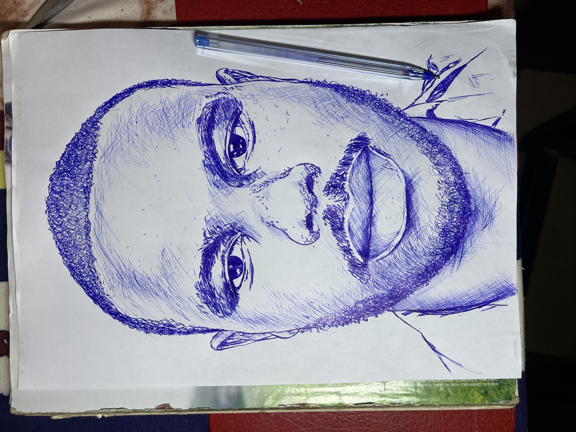 The image shows a close-up, head-and-shoulders drawing of a man's face executed in blue ink on white paper. The drawing is rendered in a sketchy, cross-hatching style, with lines used to define contours and create shading. The man has a short, textured hairstyle and a light beard and mustache. His eyes are open, and he appears to be looking forward. A blue ballpoint pen is positioned to the right of the drawing, partially overlapping the paper. The paper itself is on a surface that appears to be a book or magazine, with a red edge visible on the right and a portion of a glossy page with text visible on the left. There are no specific landmarks or details in the drawing or surrounding environment that would indicate its location in Jos, Nigeria.